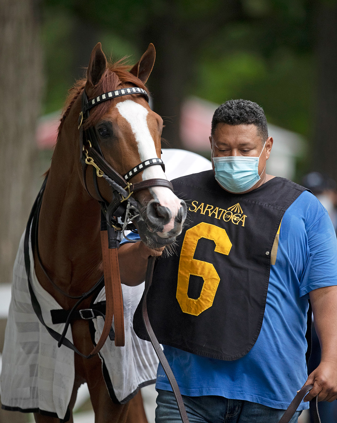 Mystic Guide at Saratoga on July 16
