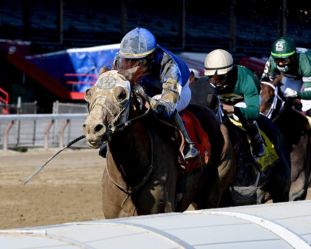 Mystic Guide wins the Jim Dandy Stakes at Saratoga Race Course