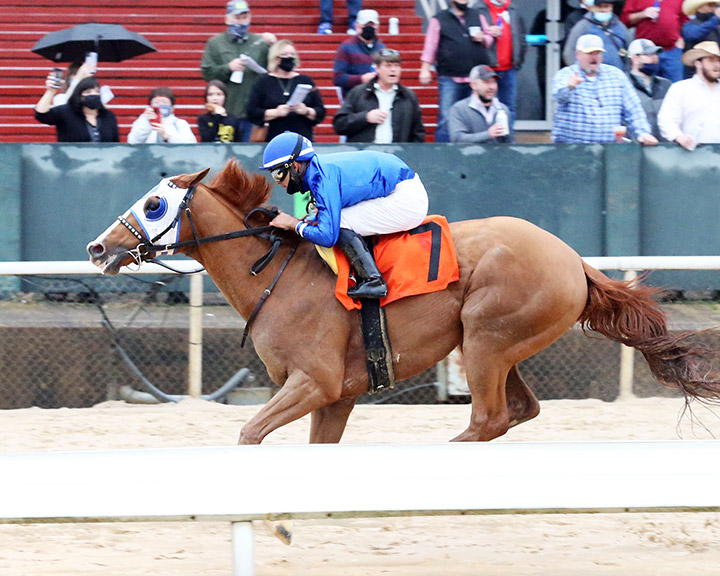 Mystic Guide wins the 2021 Razorback Handicap at Oaklawn Park