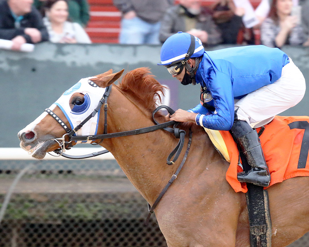 Mystic Guide wins the 2021 Razorback Handicap at Oaklawn Park
