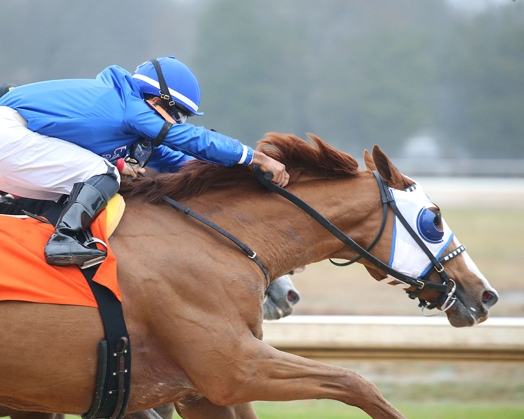 Mystic Guide wins the 2021 Razorback Handicap at Oaklawn Park