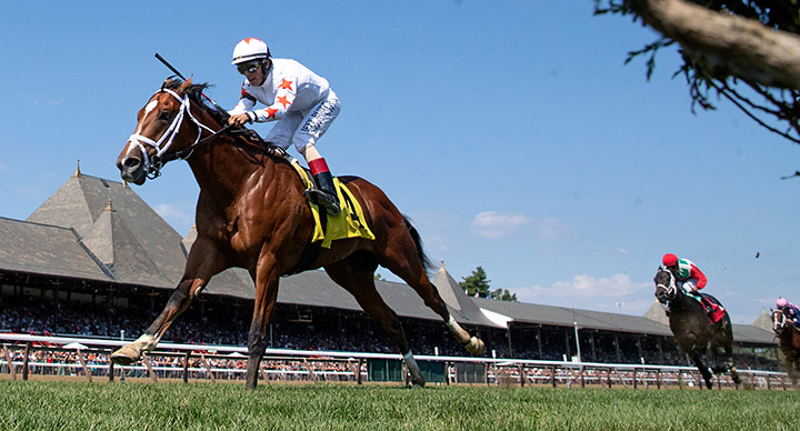 Mystic Lancelot wins an August 2019 maiden race at Saratoga Race Course