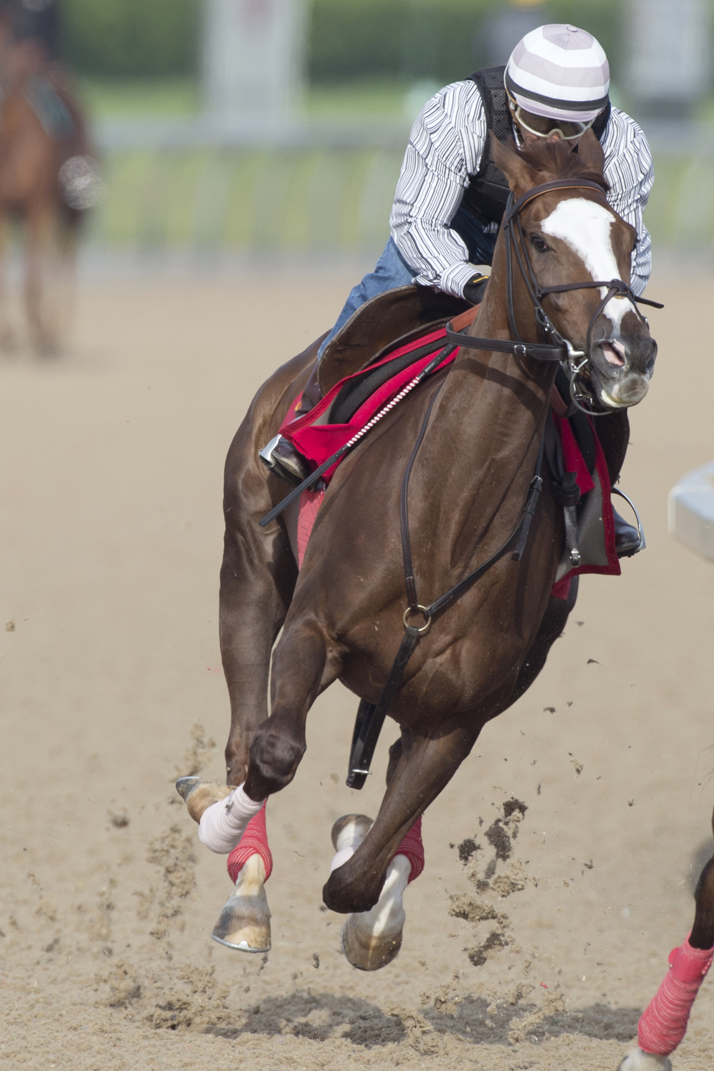 Mythical Mission trains at Woodbine on May 28, 2017