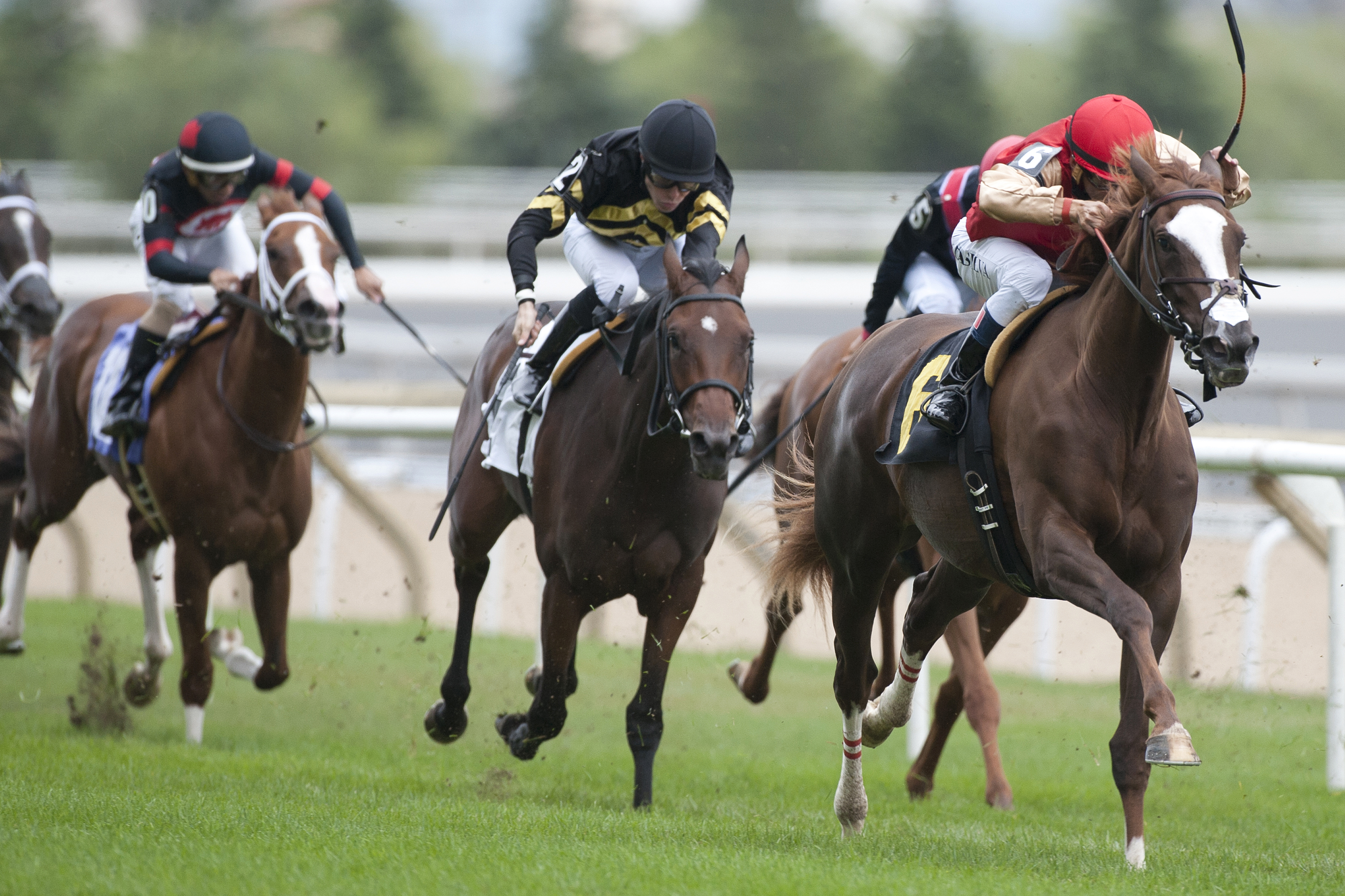 Mythical Mission wins a maiden race at Woodbine