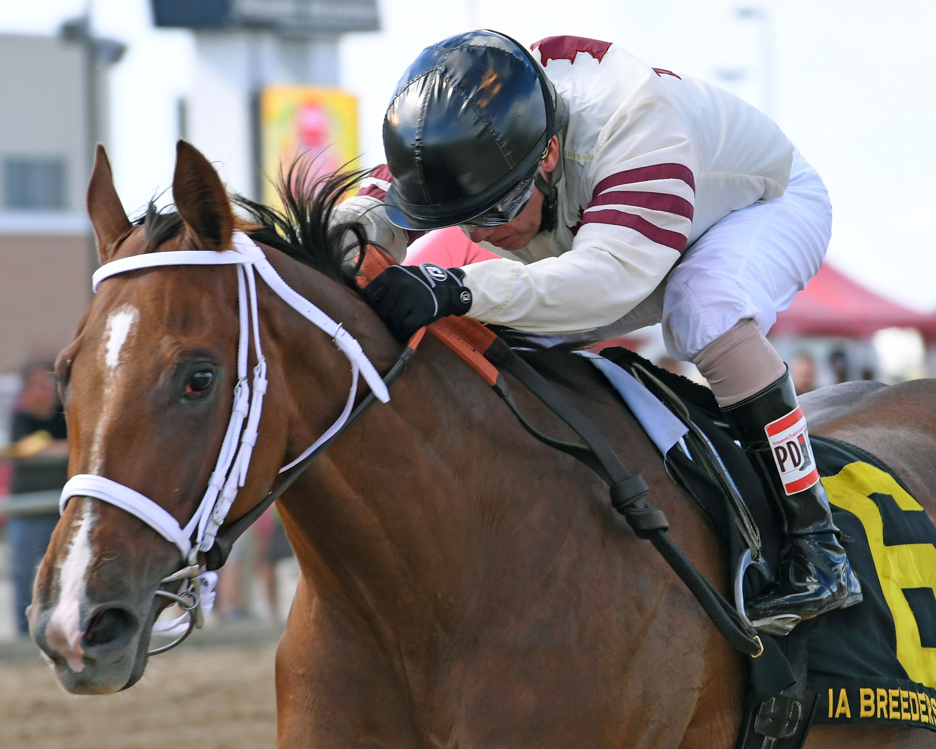 Mywomanfromtokyo wins the 2016 Iowa Breeders' Oaks