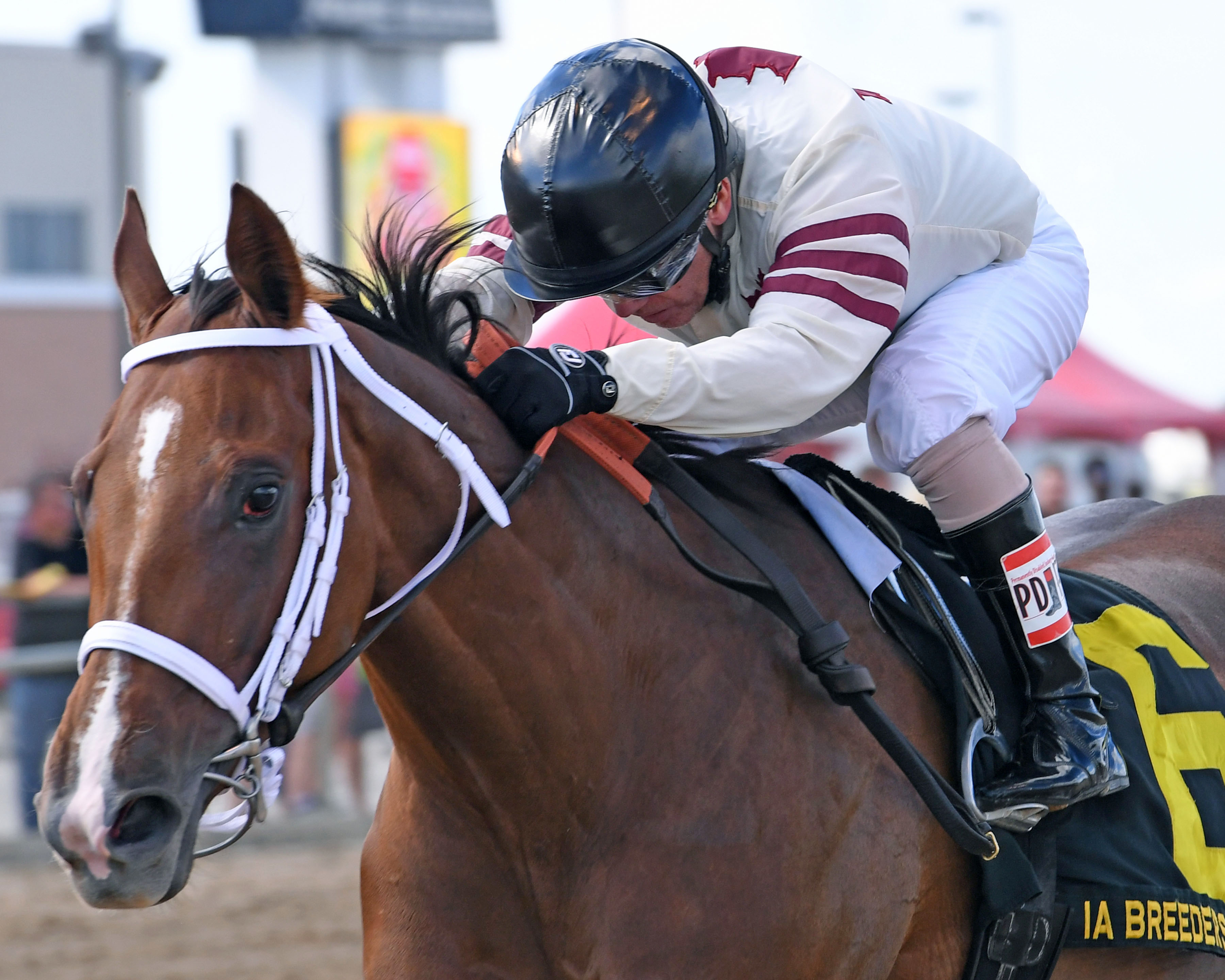 Mywomanfromtokyo wins the 2016 Iowa Breeders' Oaks