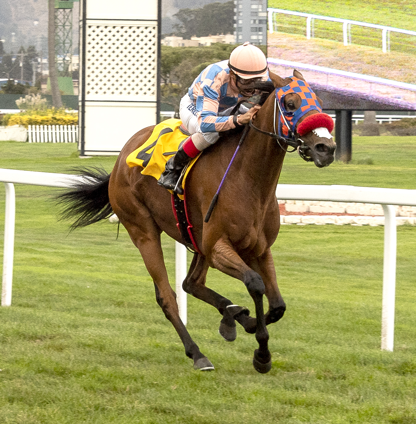 Natural Color wins Golden Gate Distaff Turf 9-17-2022