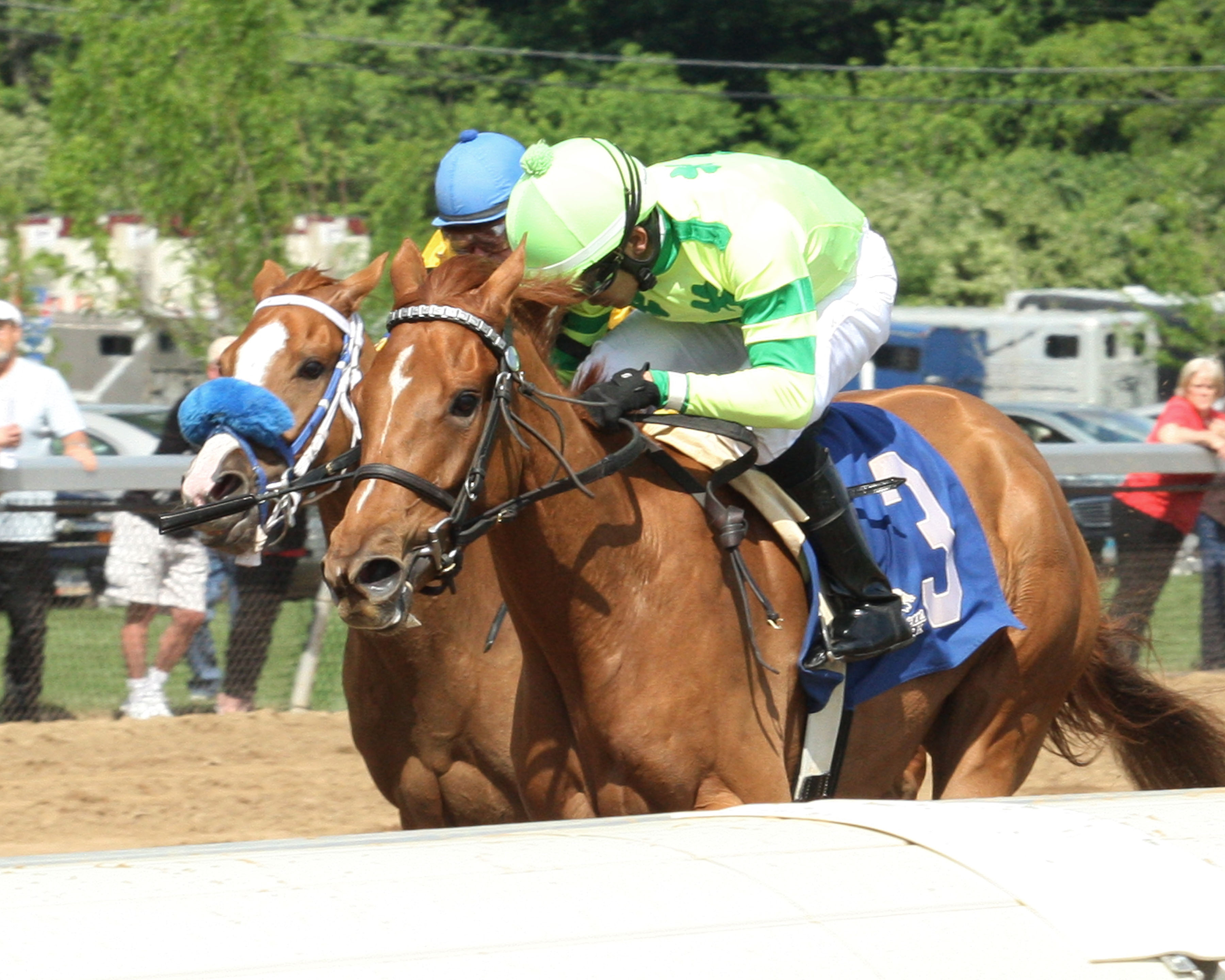 Needmore Flattery wins 2014 Tomboy