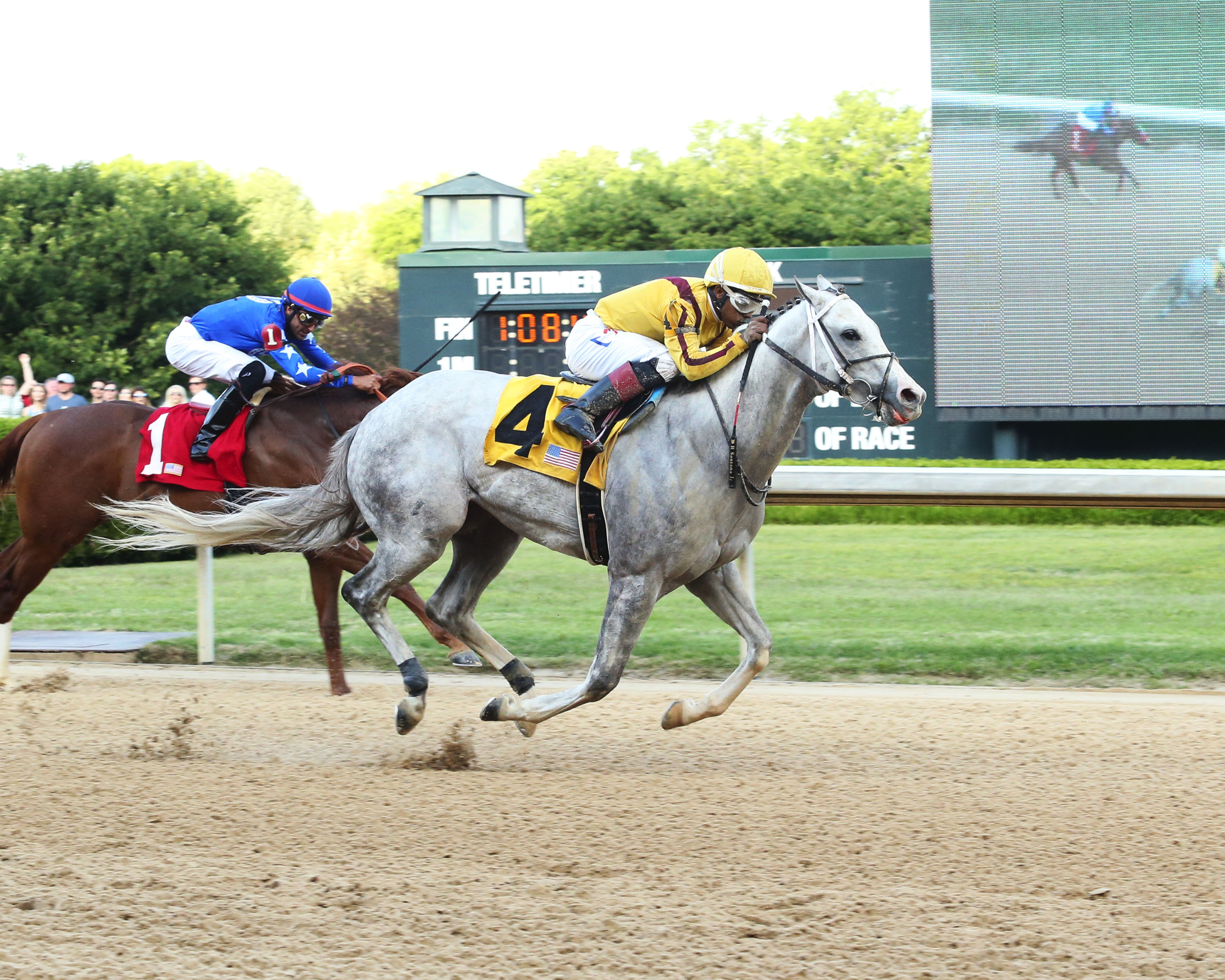 Nitrous wins the 2019 Bachelor Stakes