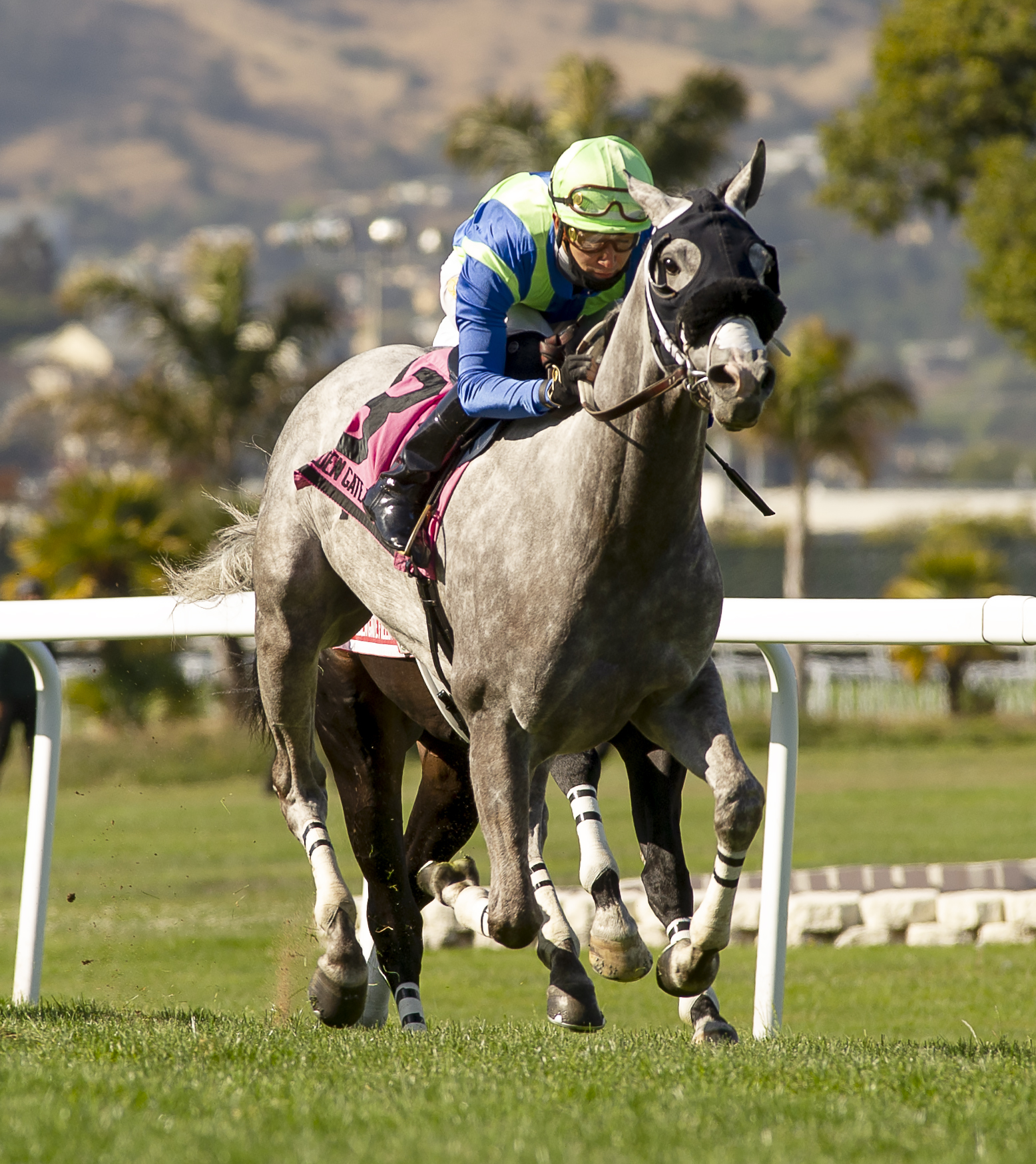 None Above the Law wins Alcatraz 5-23-2021