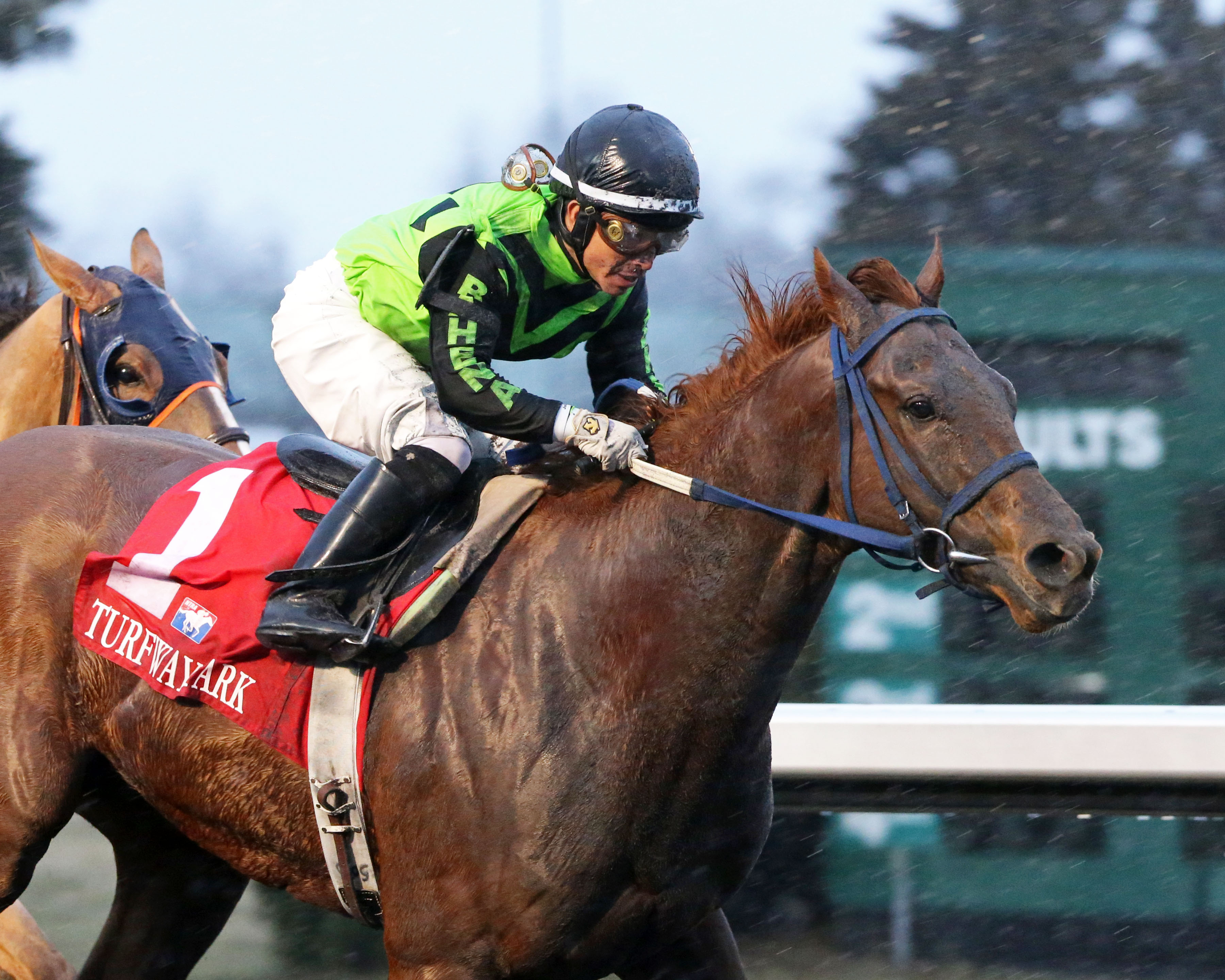 Nun the Less wins 2019 Kentucky Cup Classsic