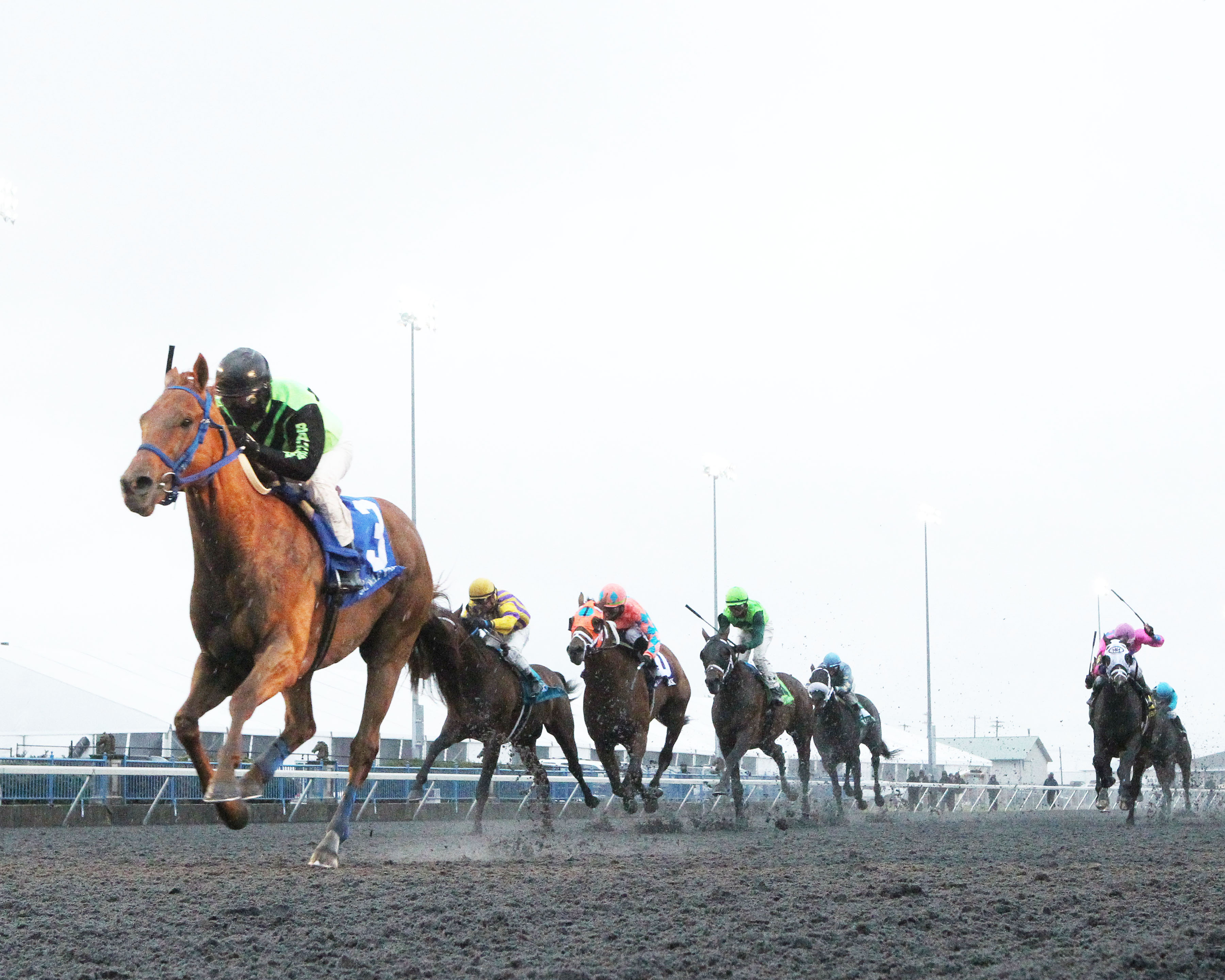 Nun the Less/Kentucky Cup Classic