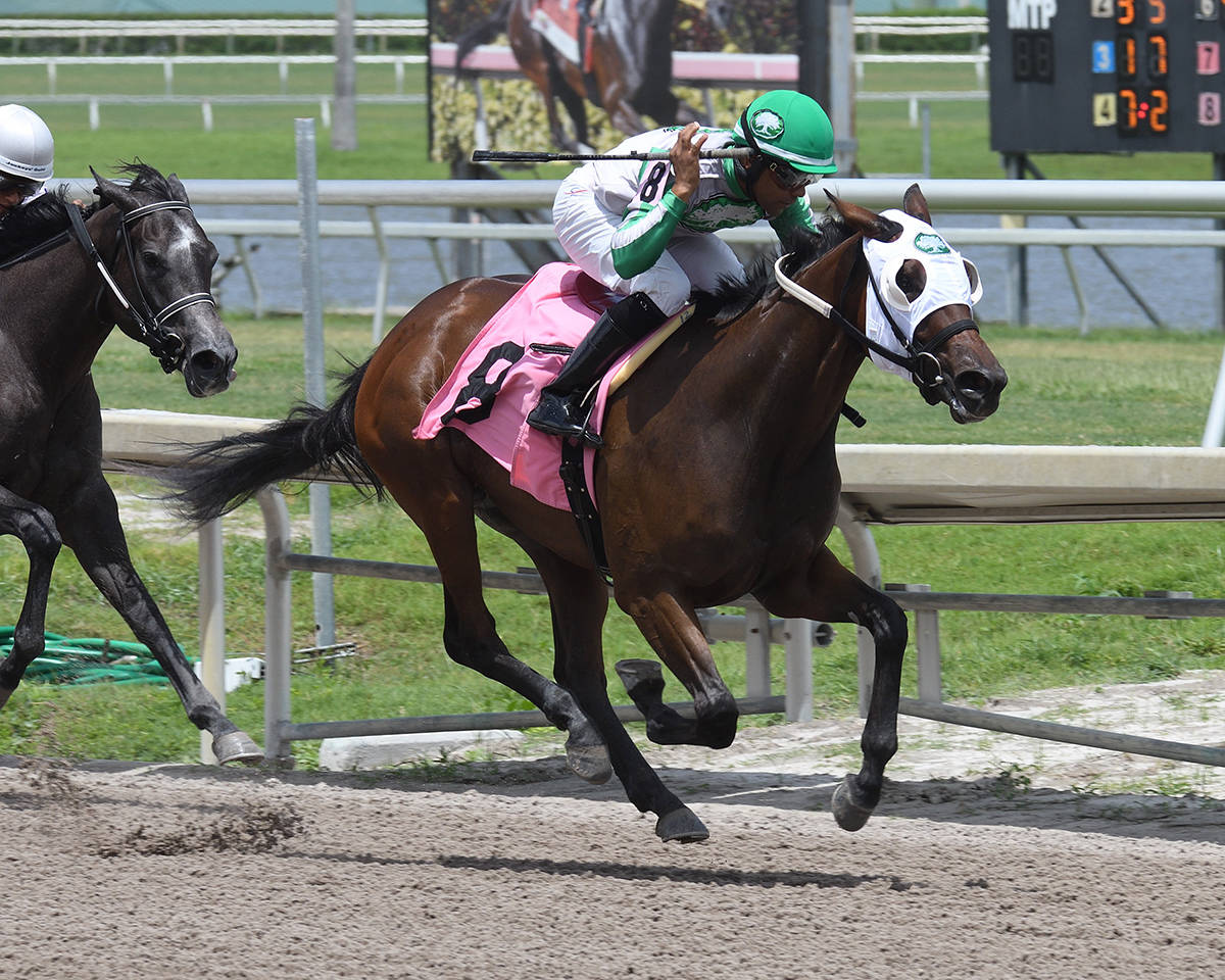 Nacho Mama wins an Aug. 12 maiden race