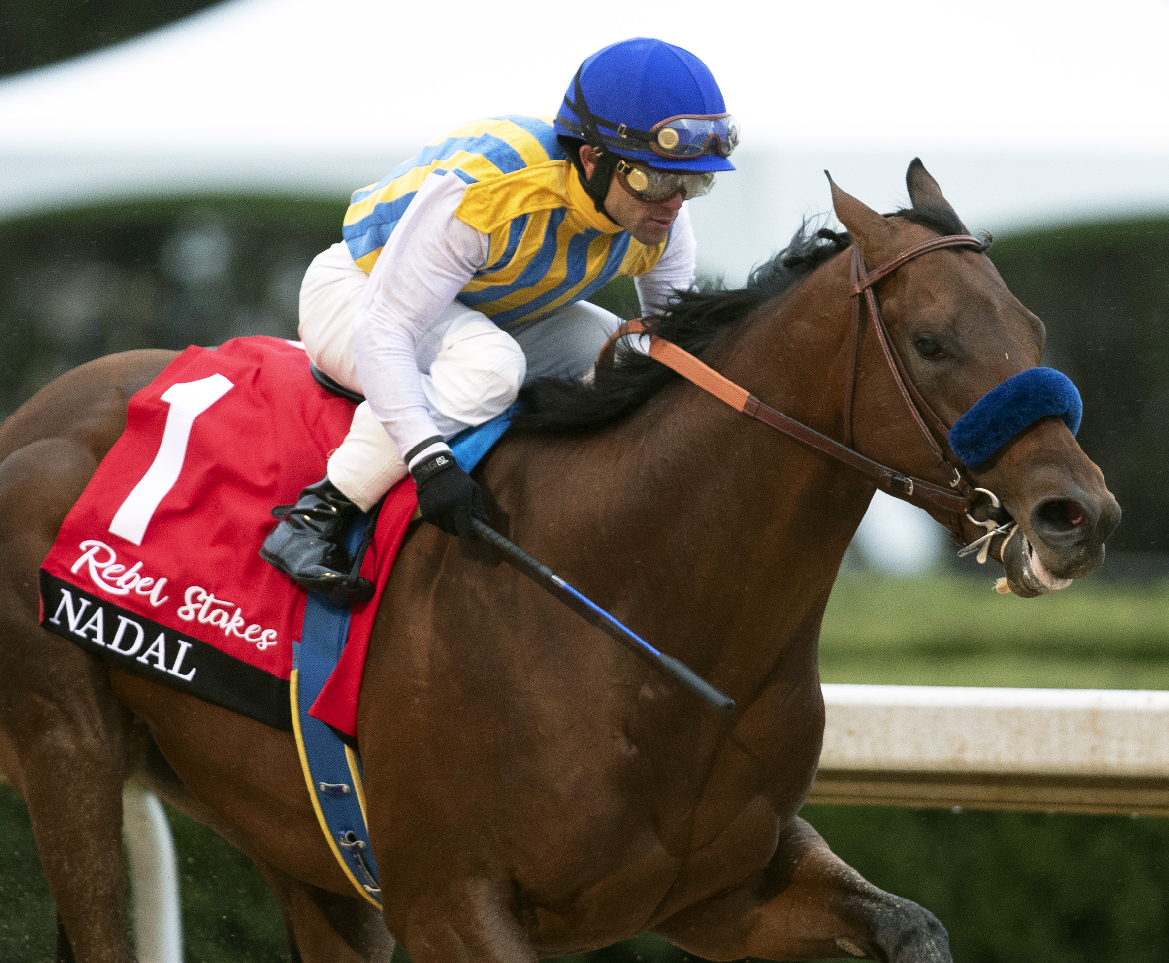 Nadal wins the 2020 Rebel Stakes