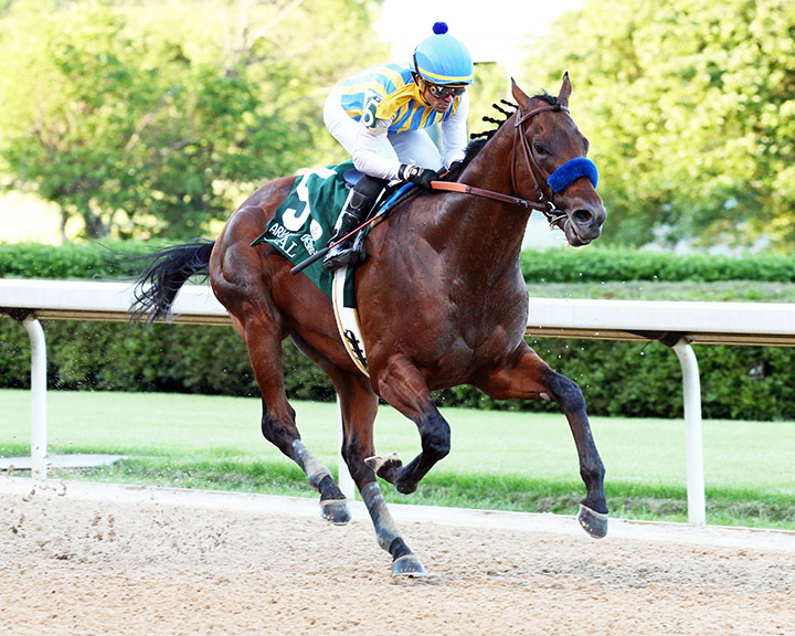 Nadal wins the 2020 Arkansas Derby (2nd division) at Oaklawn Park