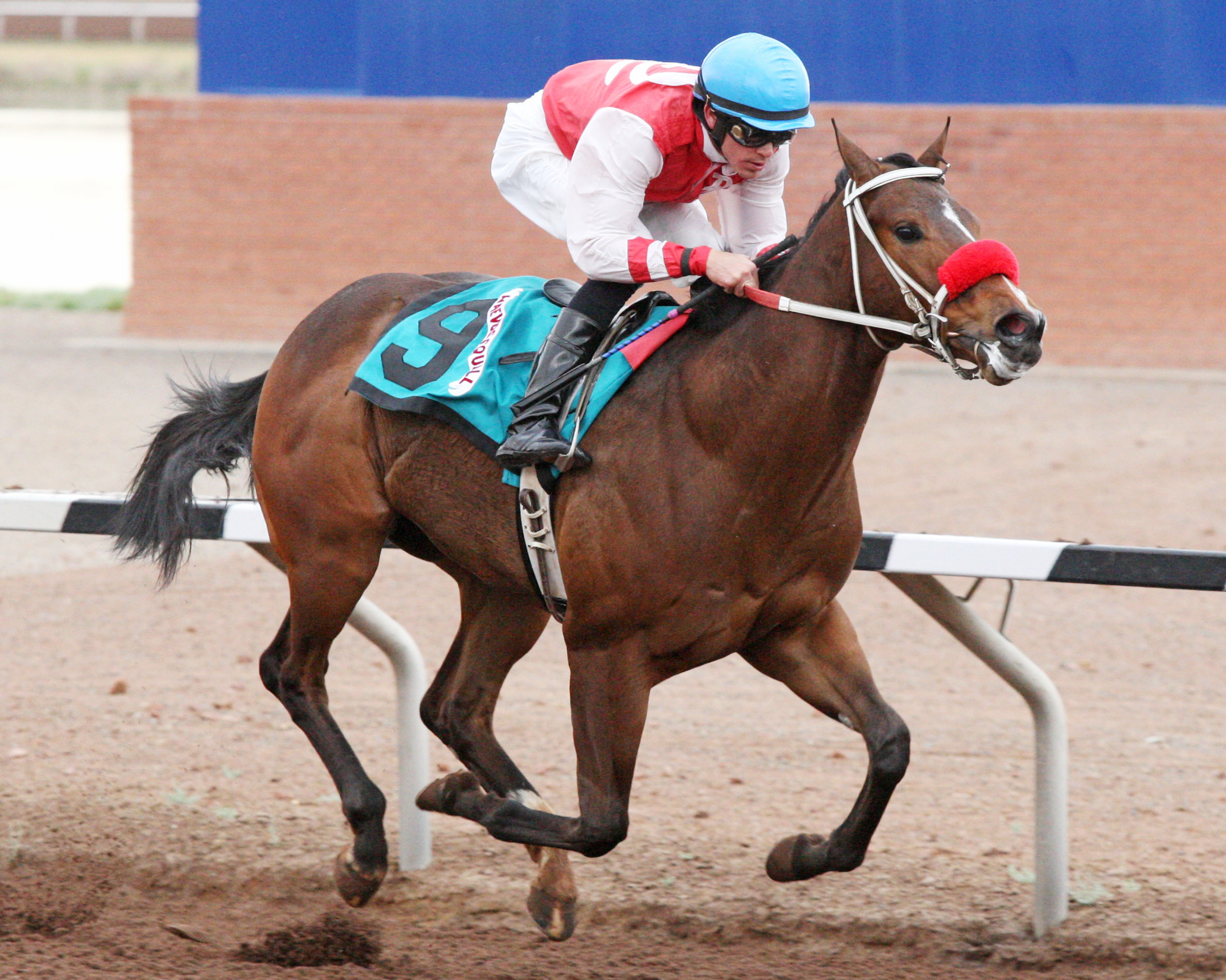 Naevussquall wins the Copper Top Futurity