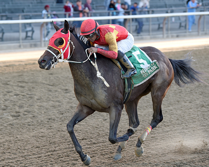Naked Avenger wins the 2019 Gimma Stakes at Belmont Park