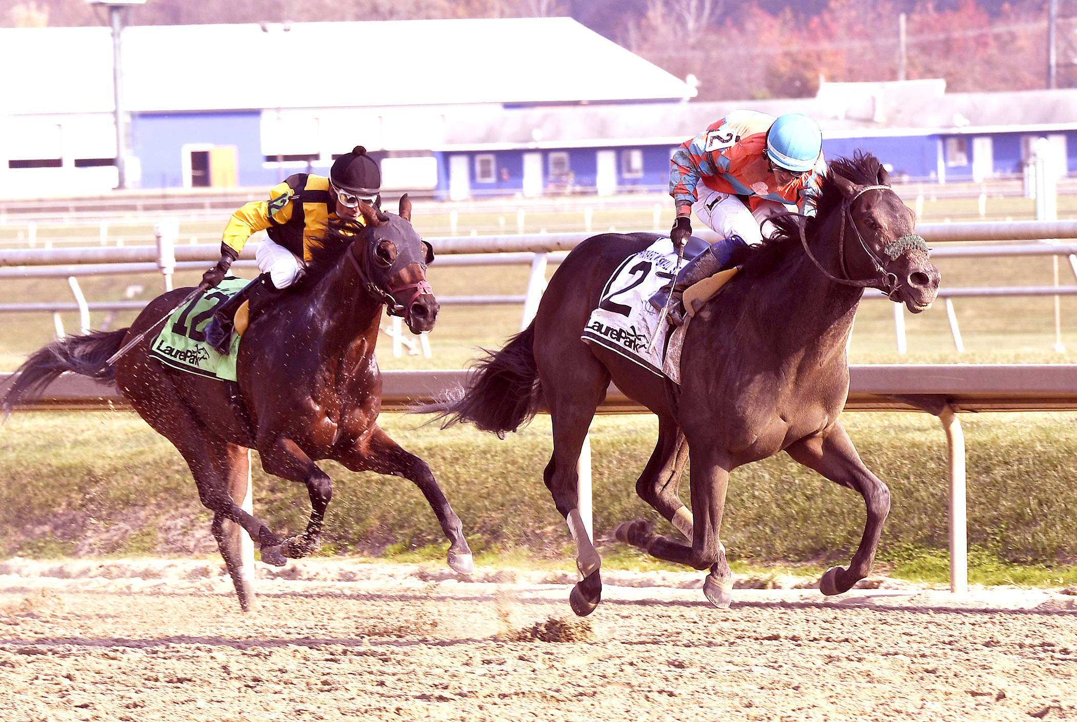 Name Changer wins the Richard W. Small Stakes