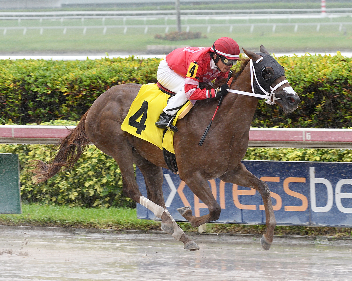 Nancysaidso wins a May 26 maiden race