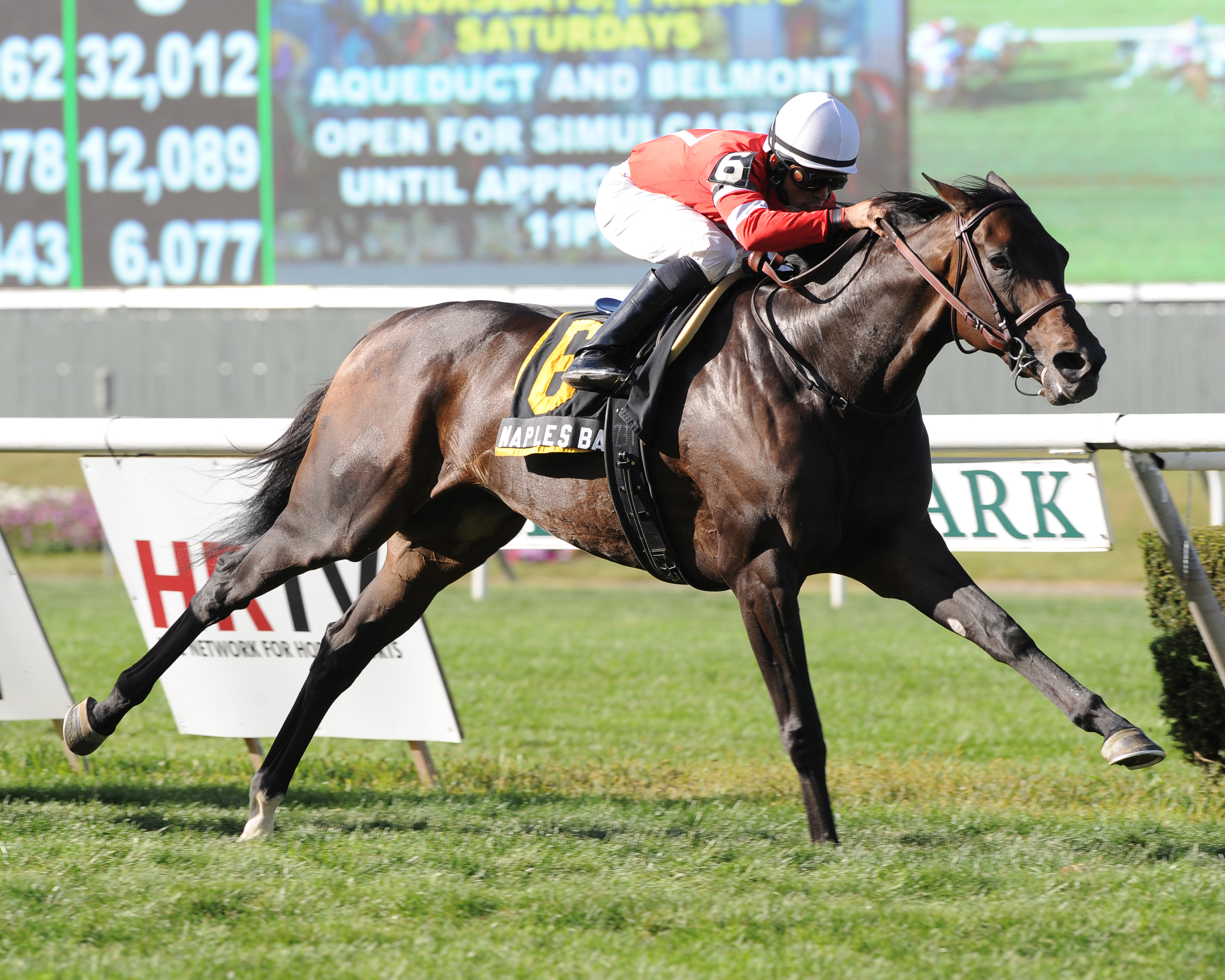 Naples Bay, Noble Damsel Stakes