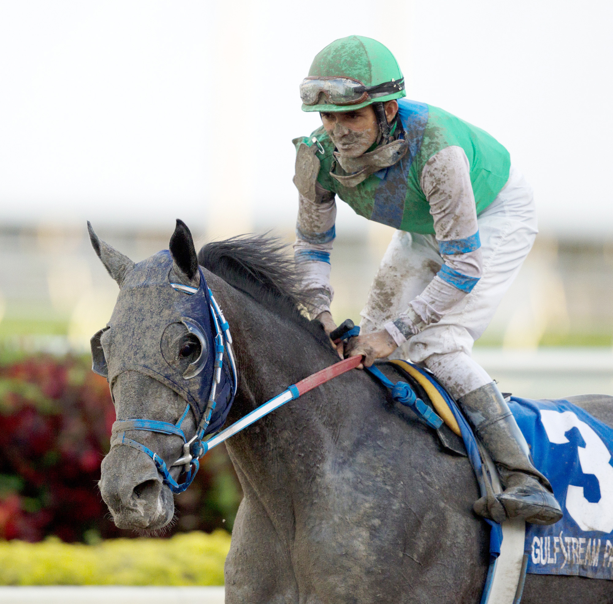 Narvaez finishes second in the Gulfstream Park Sprint Stakes