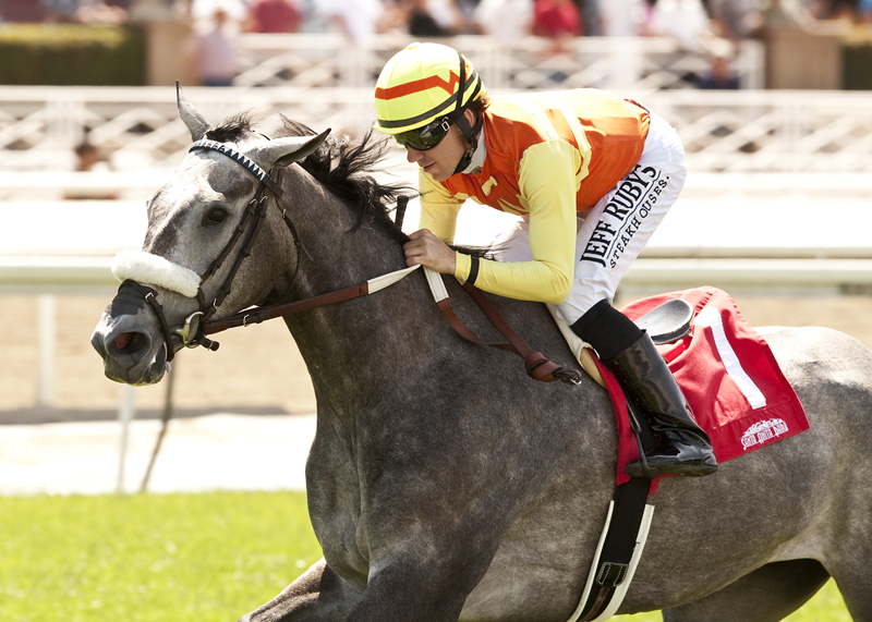 Nashoba's Gold wins 2014 Honeymoon Stakes