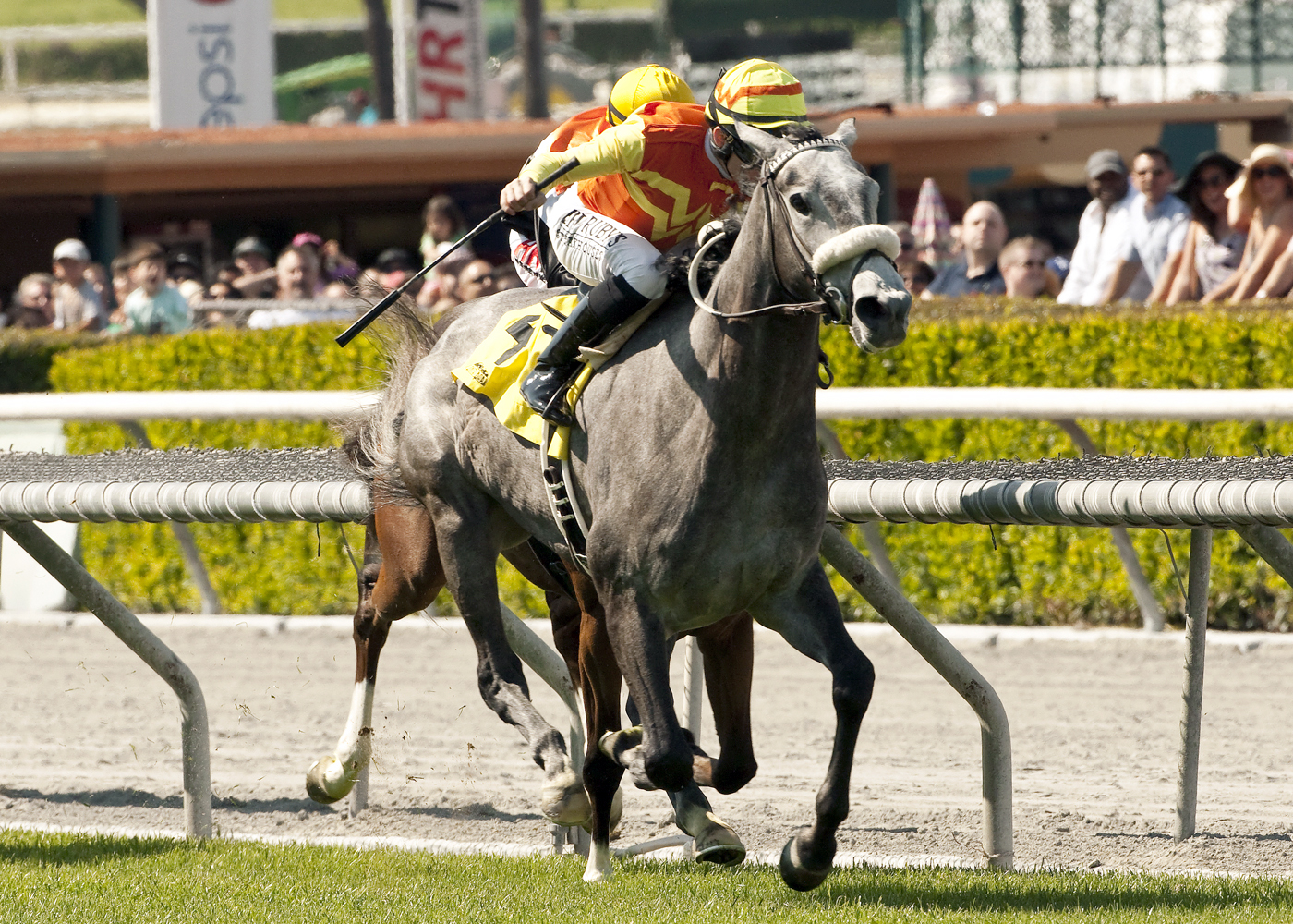 Nashoba's Gold wins the Providencia Stakes