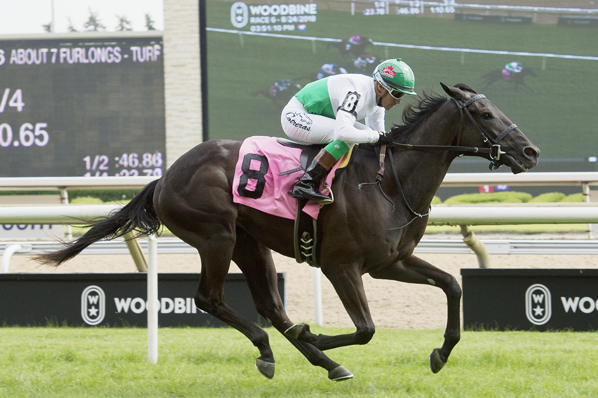 Nashtrick wins an Aug. 24 maiden race