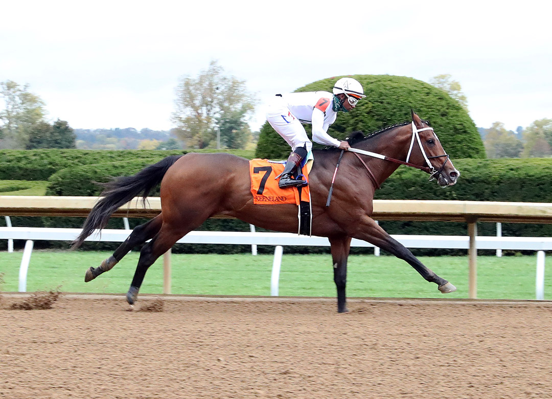 Nashville wins an Oct. 10 allowance at Keeneland Racecourse