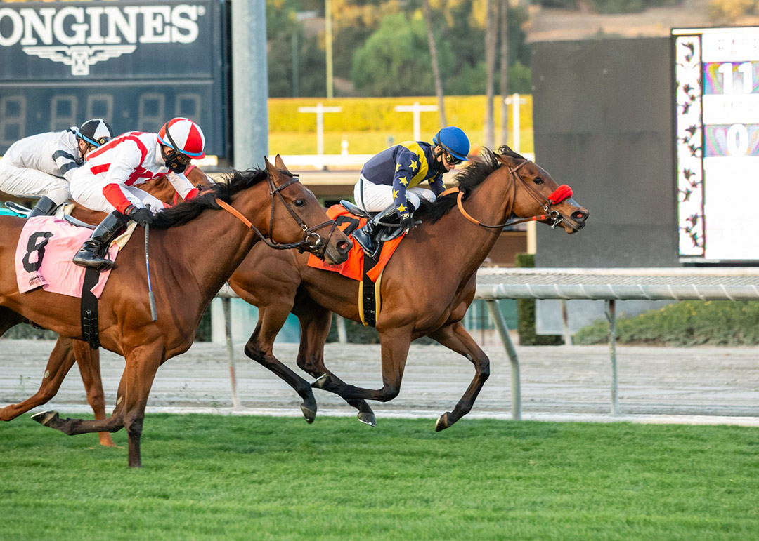 Nasty wins the 2020 Lady of Shamrock Stakes at Santa Anita