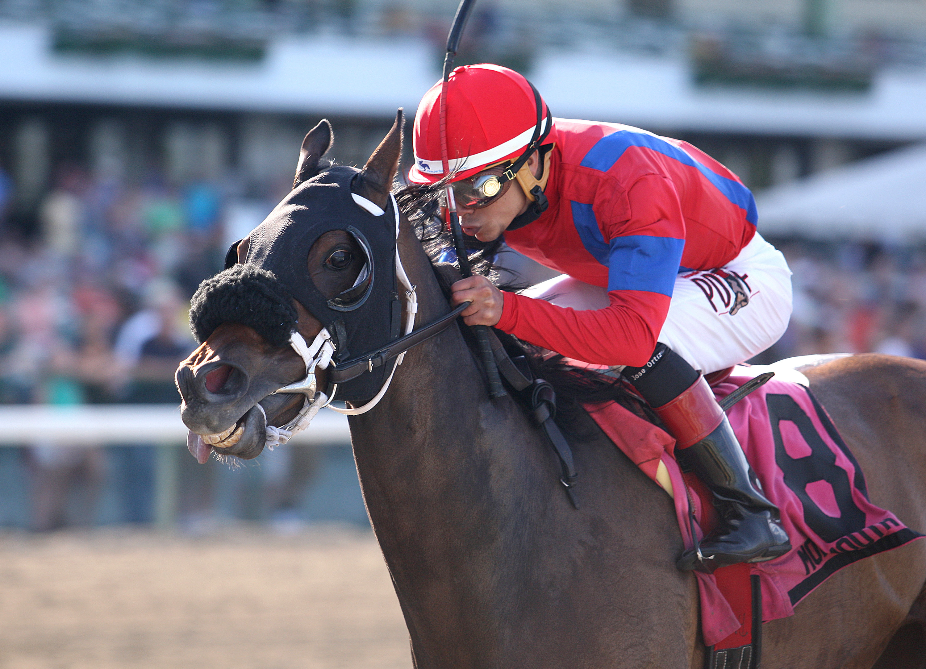 Natalie Victoria wins 2014 Monmouth Beach Stakes