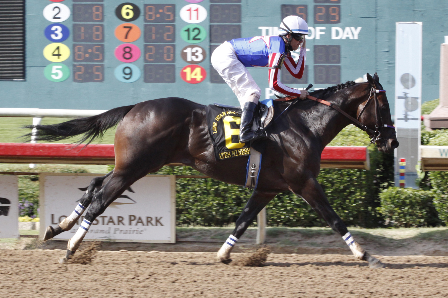 Nates Mineshaft, 2012 Lone Star Handicap