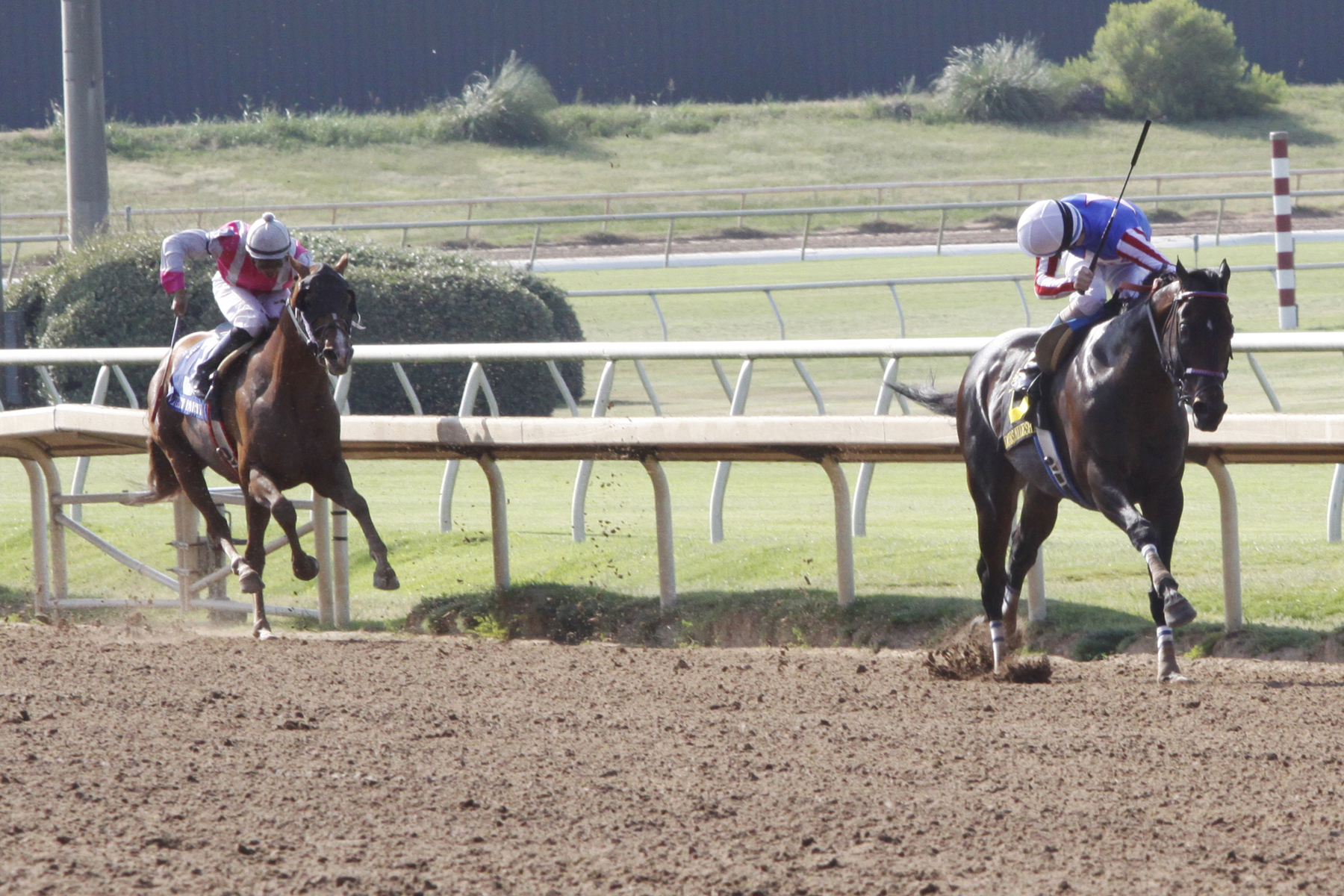 Nates Mineshaft/Lone Star Handicap