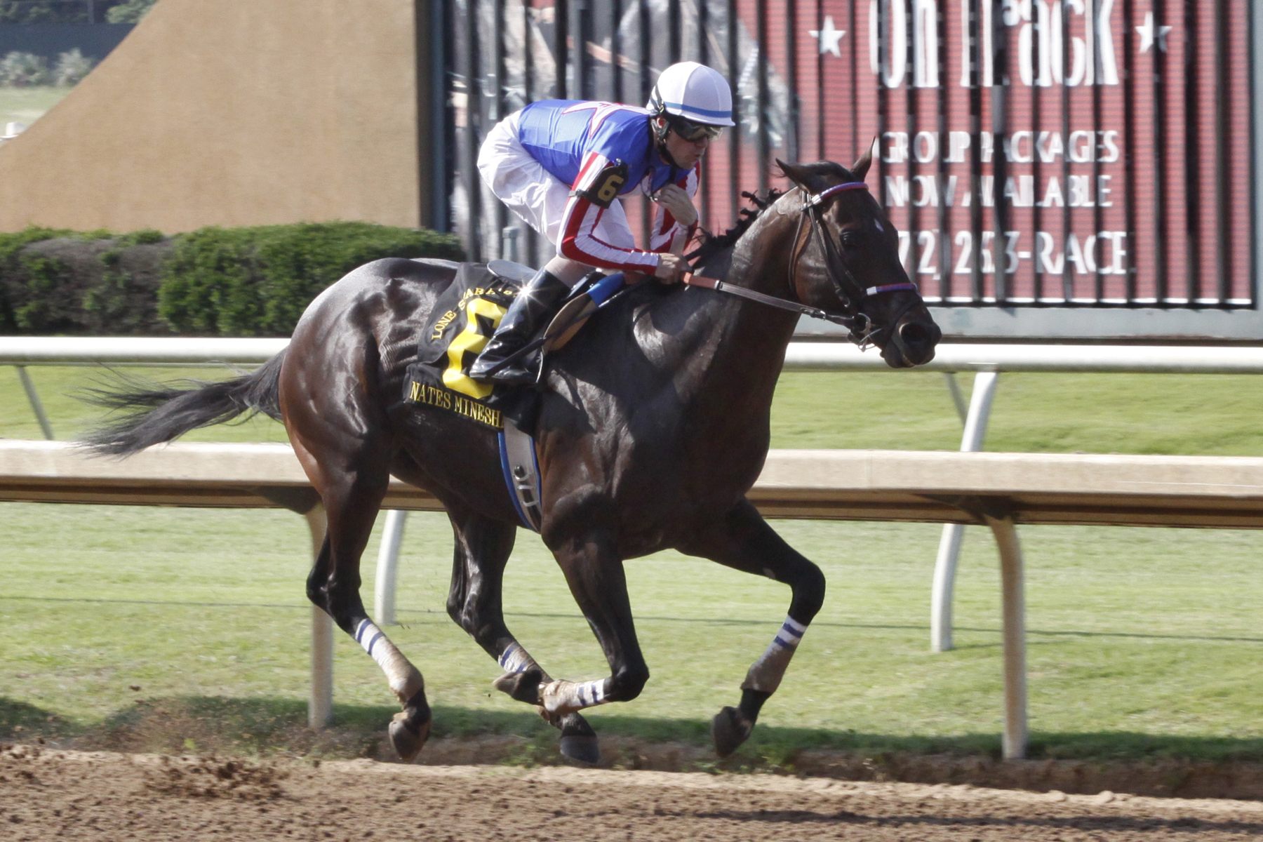 Nates Mineshaft, Lone Star Handicap