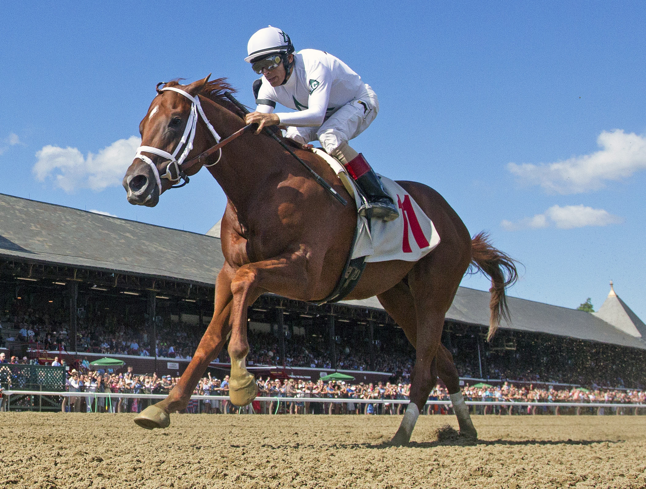 Ohio stallions: National Flag gets off to strong start