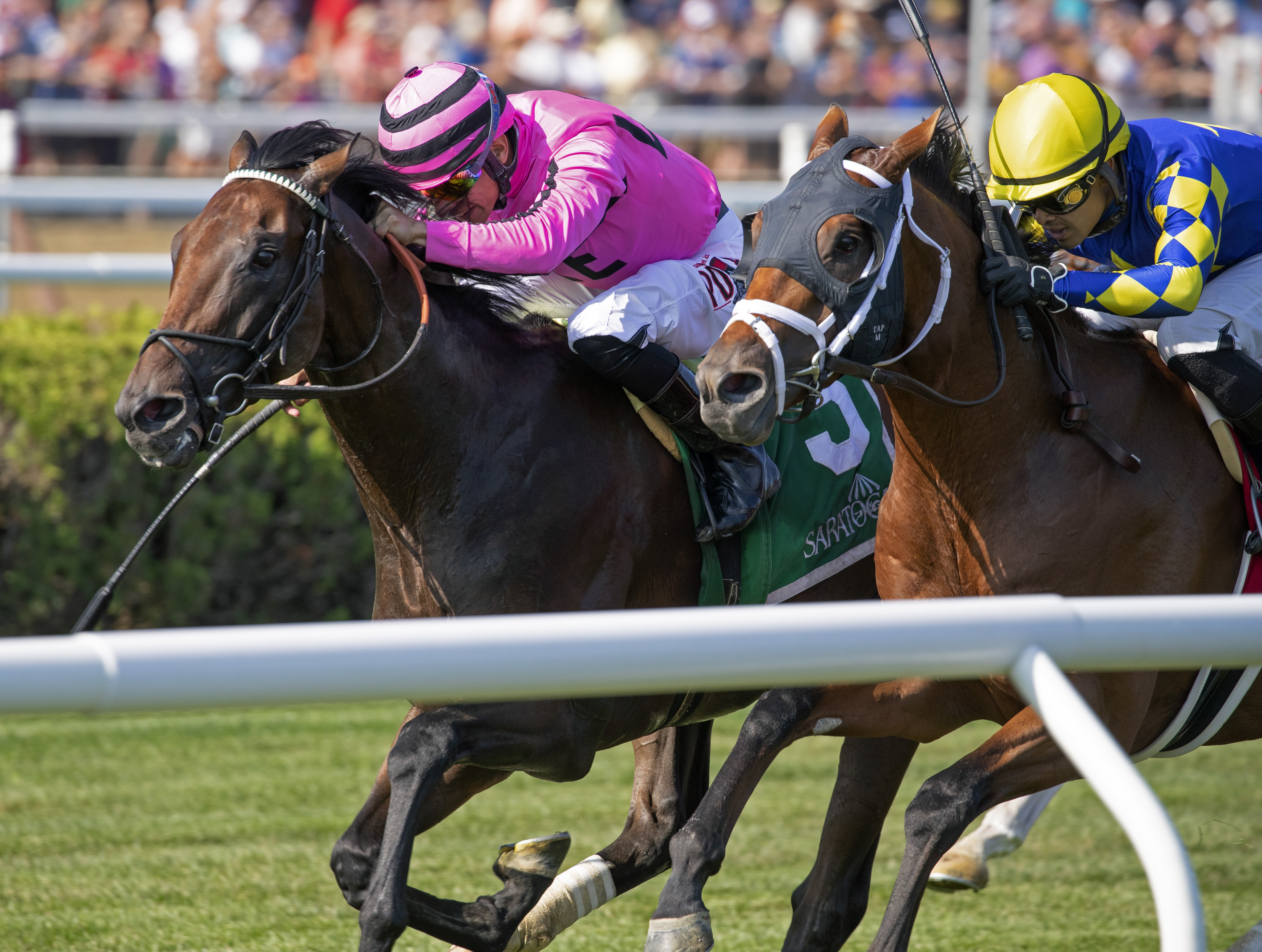 Casa Creed (left) defeats Sombeyay in the 2019 Hall of Fame Stakes