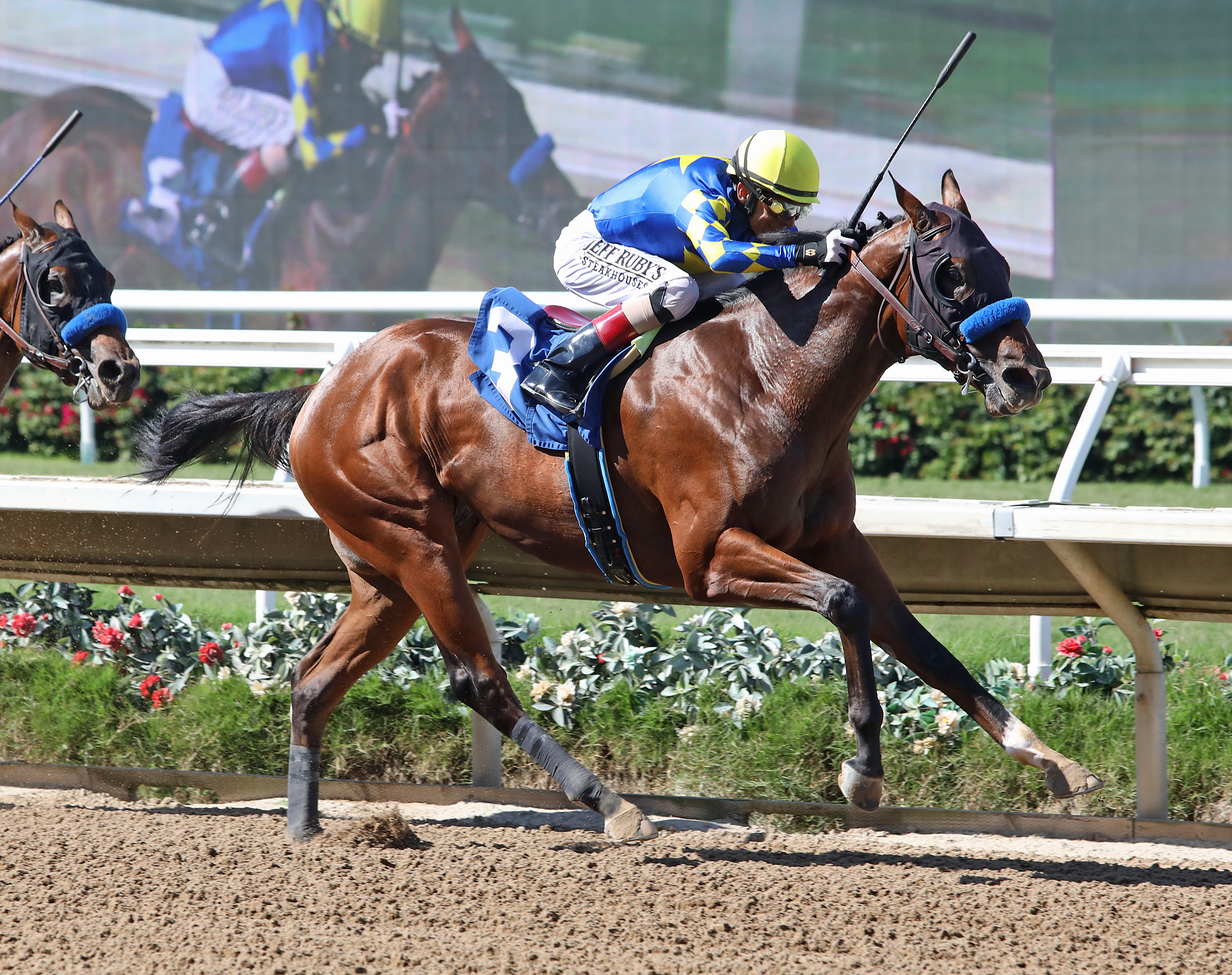National Treasure wins maiden at SA Sept 3 2022