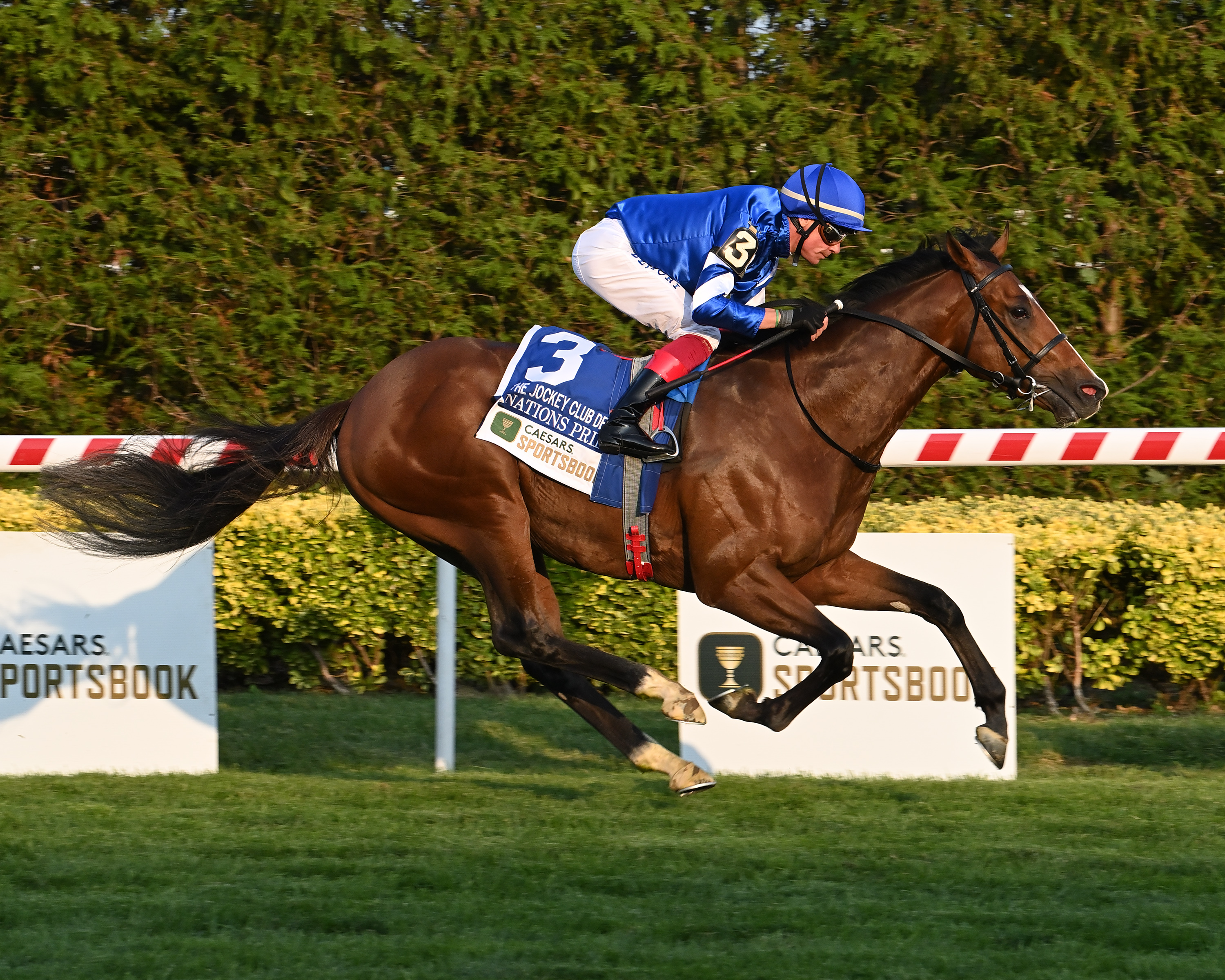 Nations Pride - Jockey Club Derby Invitational 2022