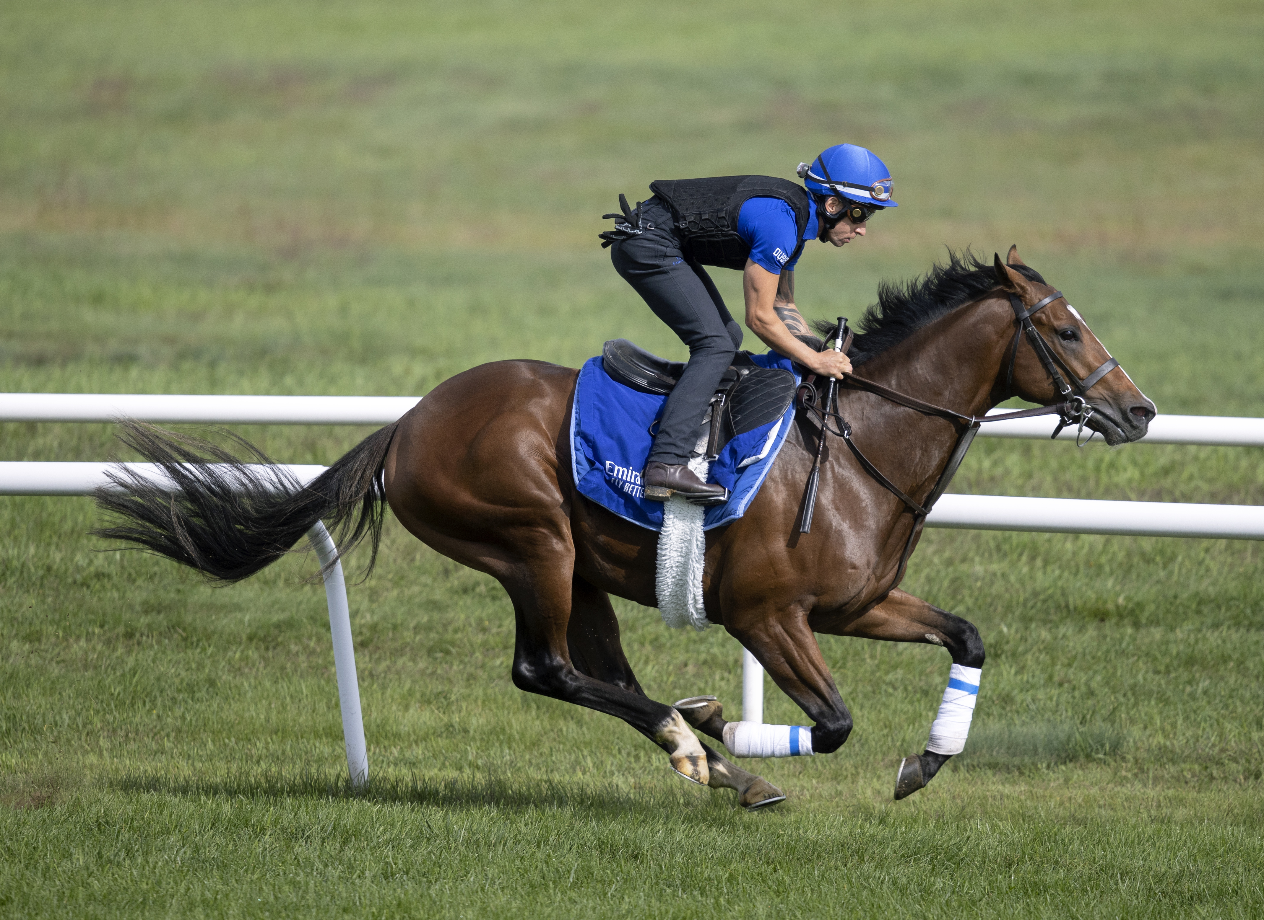 Nations Pride breezes at Saratoga Sept 11 2022
