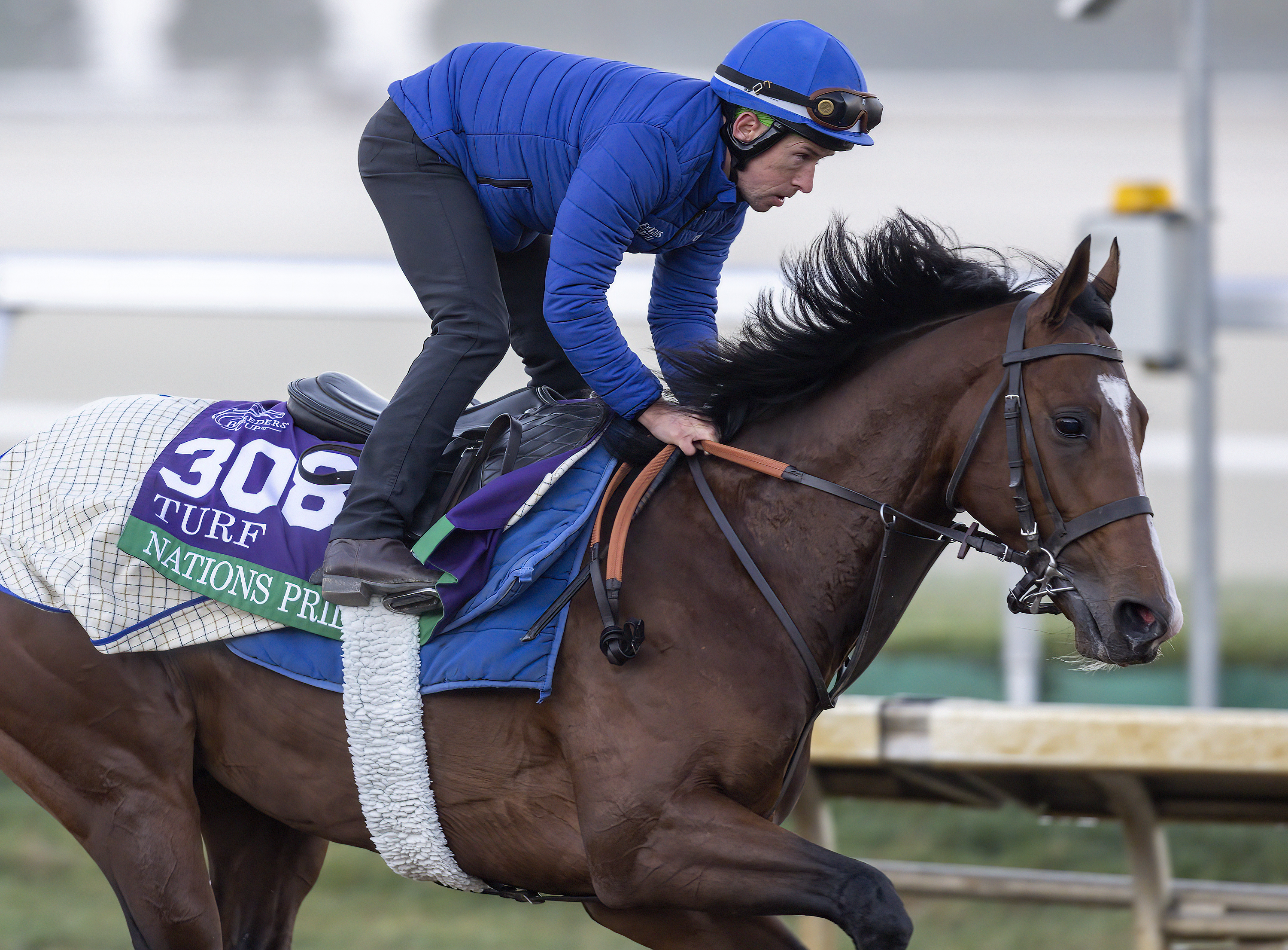 Nations Pride trains at Keeneland Nov 3 2022