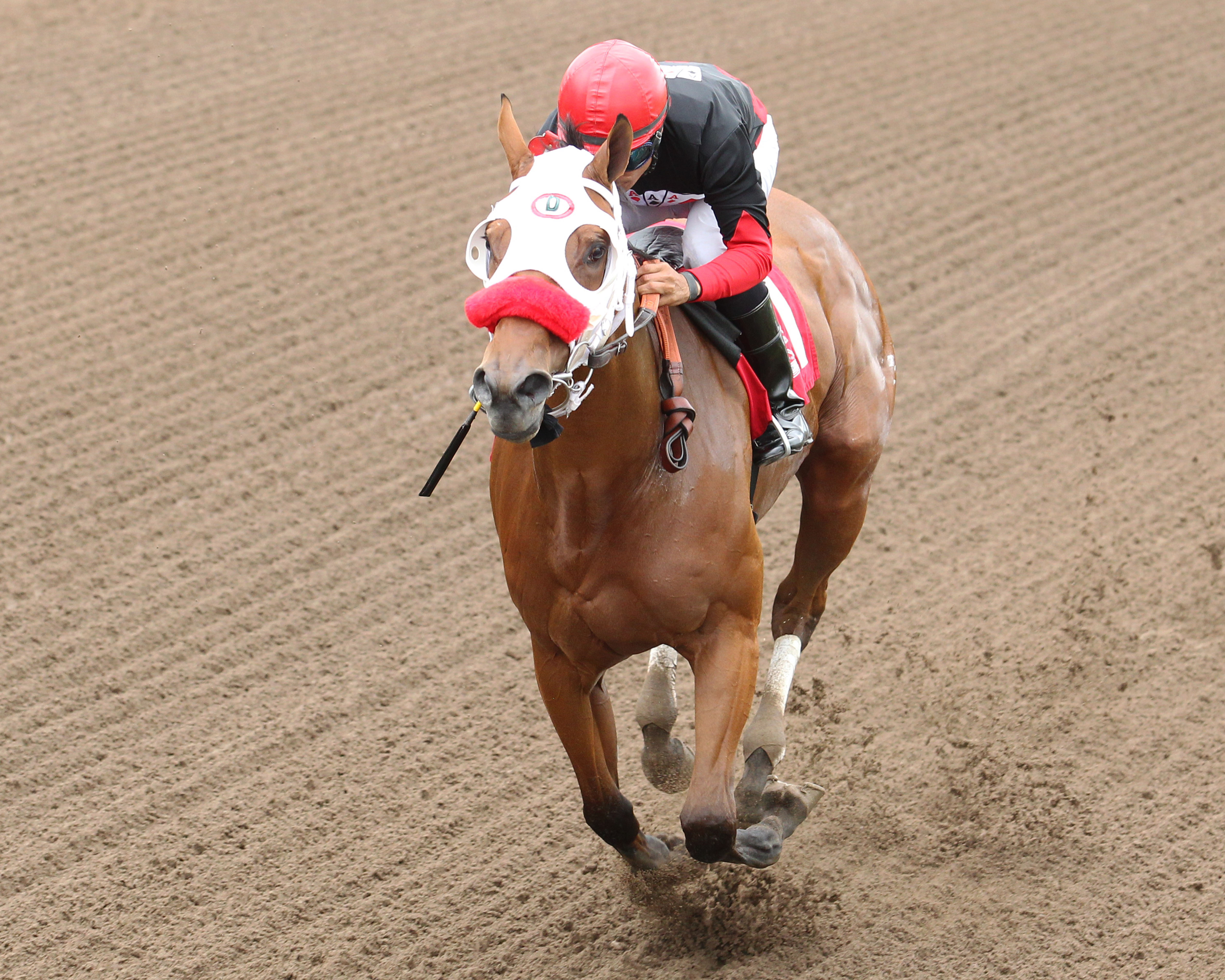 Native American, A M Milky Way romp in pair of sprint stakes
