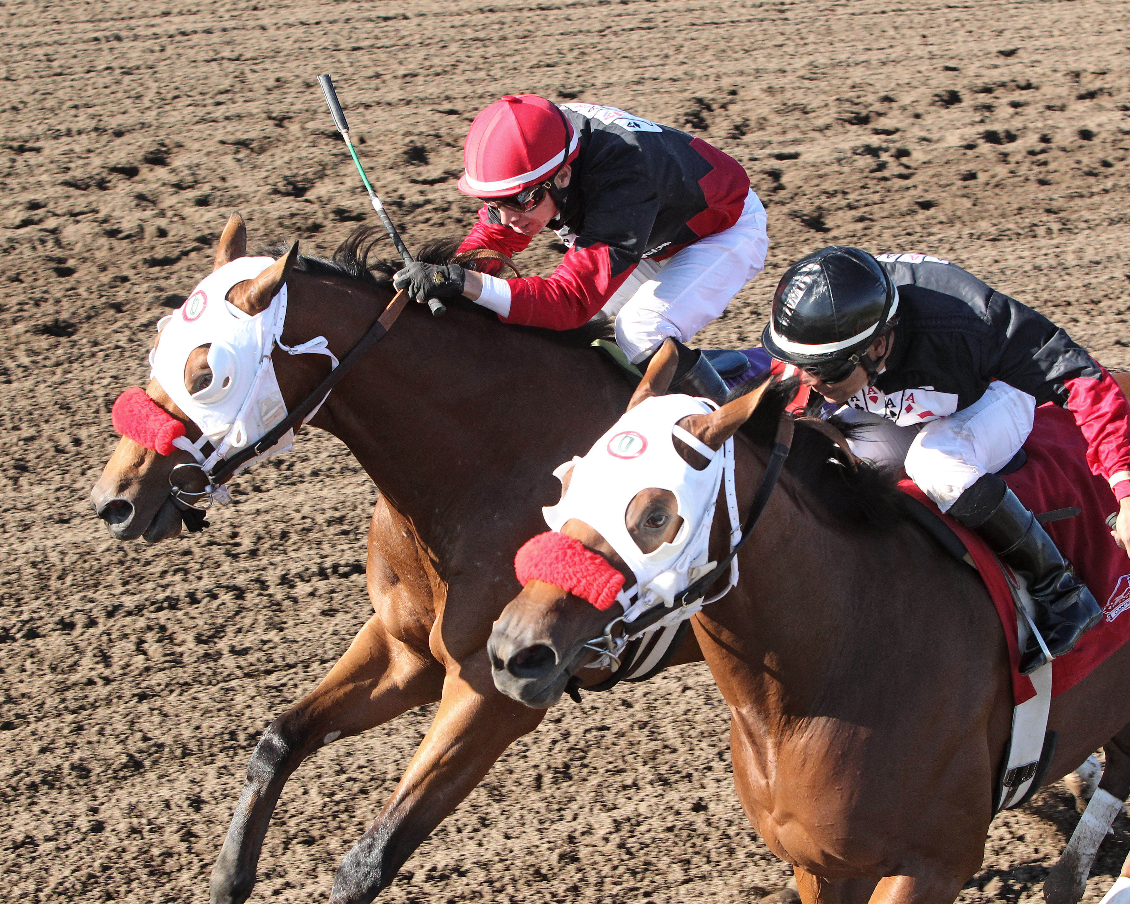 Canterbury: Native American the star of L’etoile du Nord