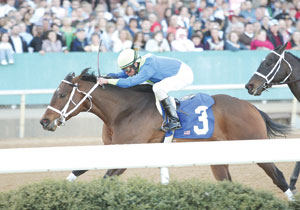 Native Ruler