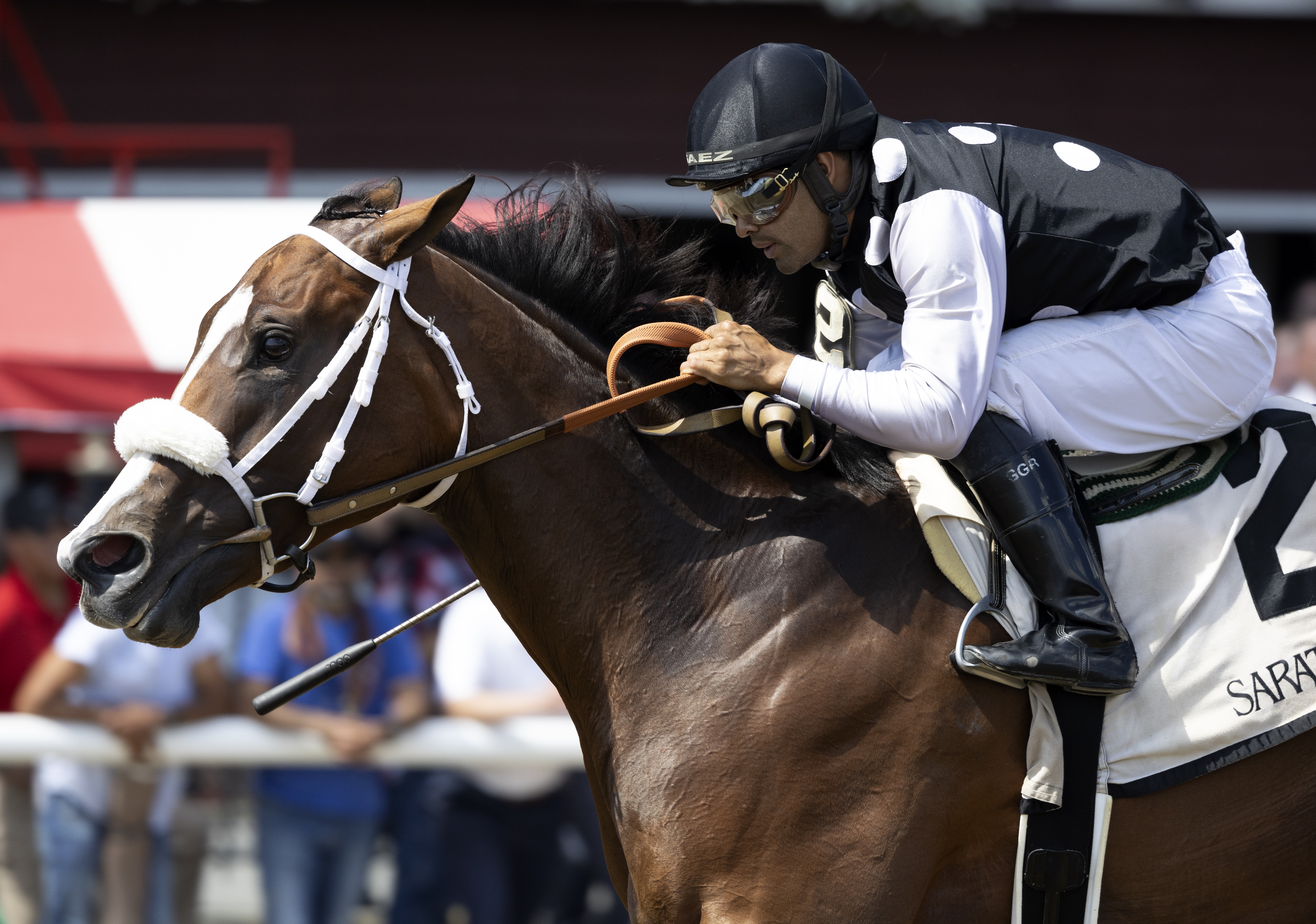 Naughty Gal wins Adirondack 8-7-2022