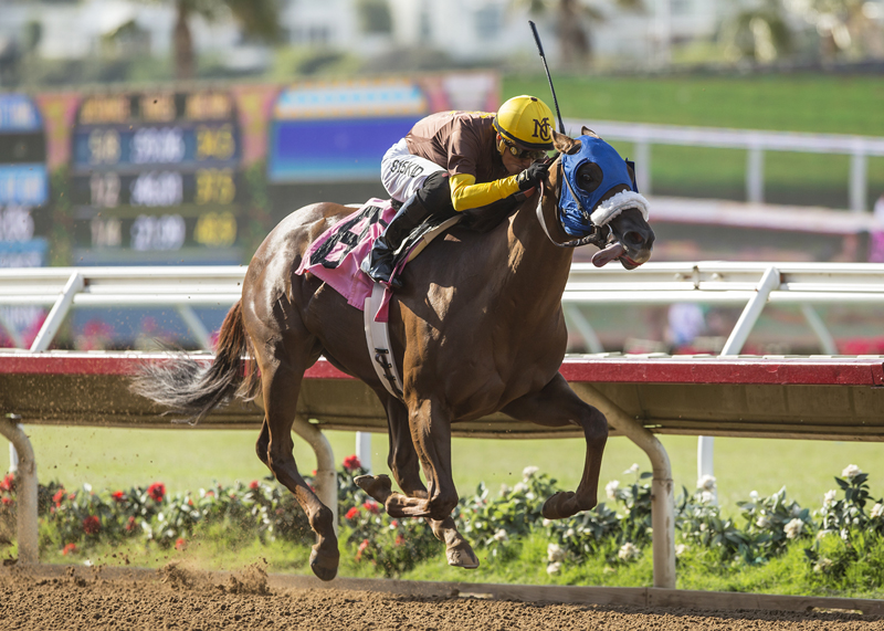 Naughty Tiger wins the CTBA Stakes