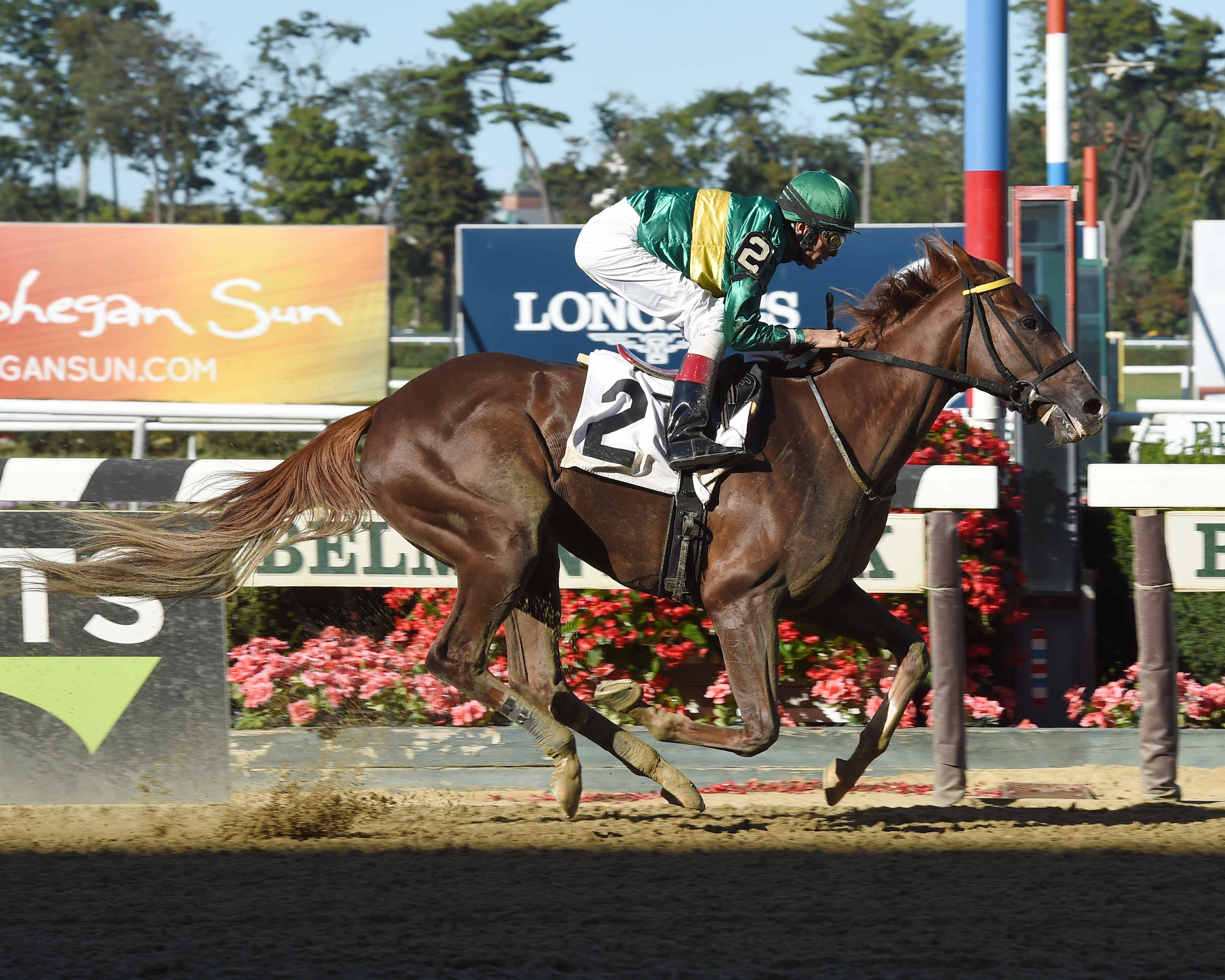 Navajo wins an Oct. 1 maiden race at Belmont