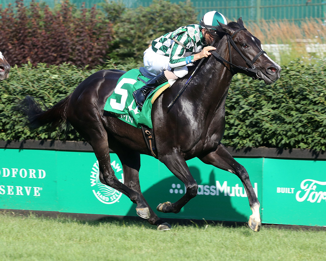 Navratilova wins the 2021 Tepin Stakes at Churchill Downs