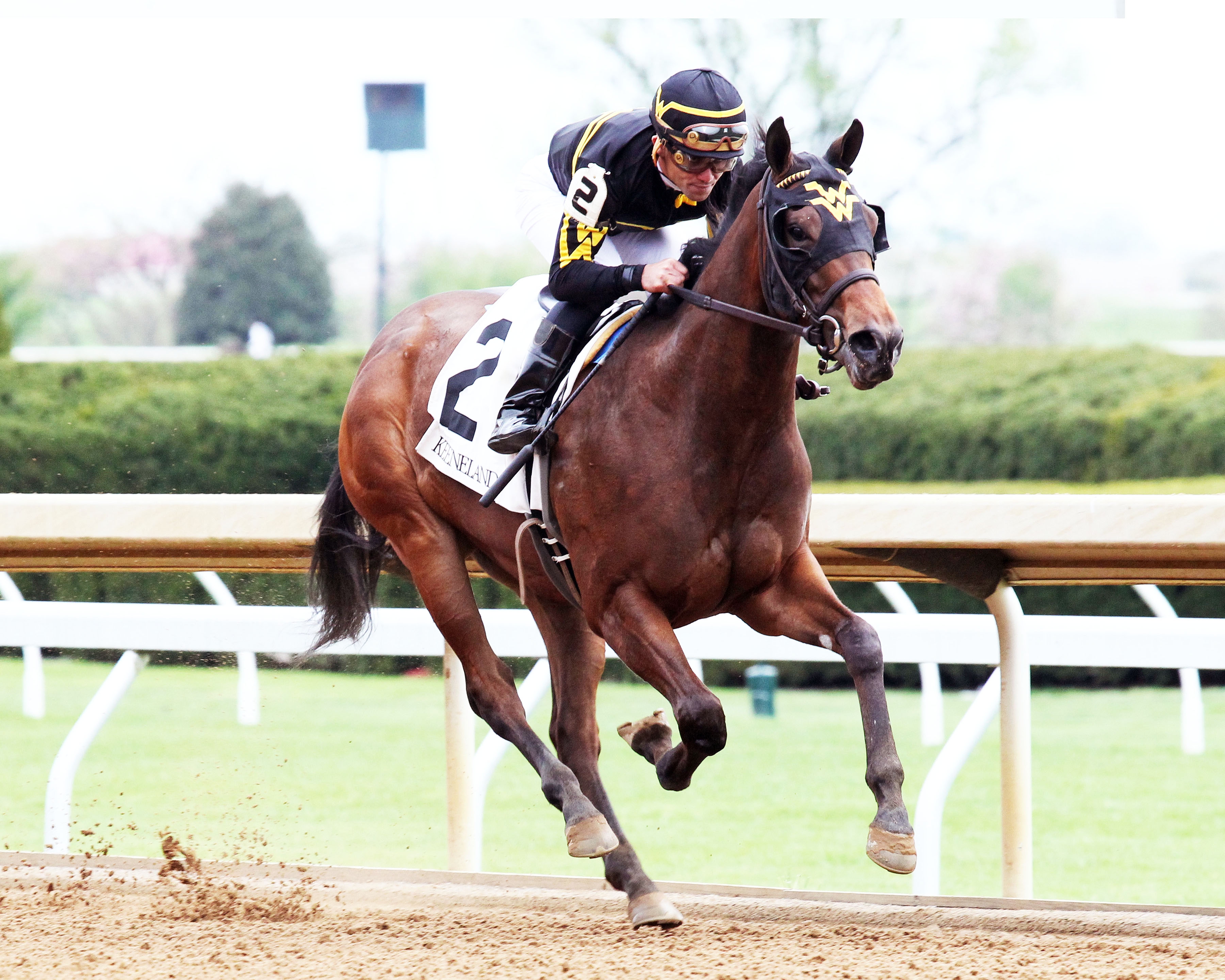 Nayibeth wins a Keeneland maiden race on 4.17.19