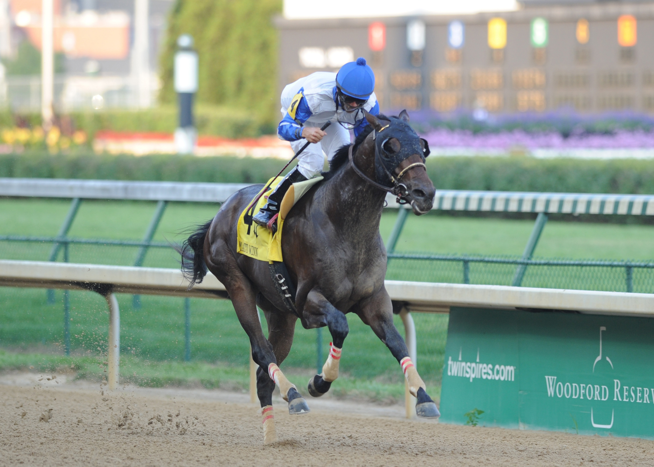 Neck 'n Neck/Matt Winn