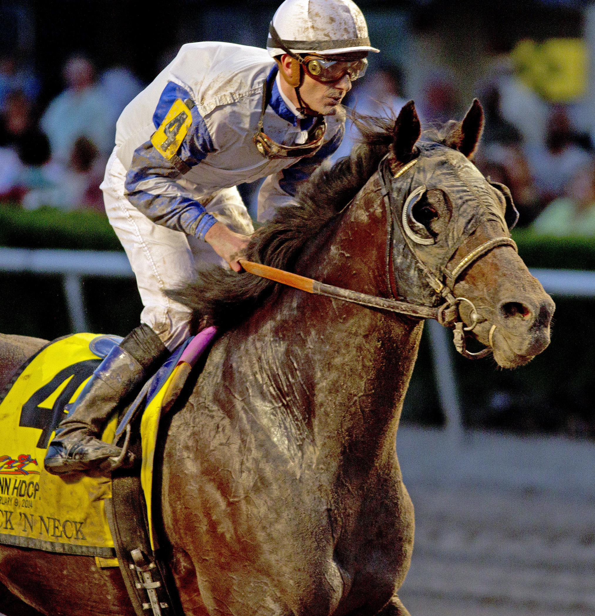 Neck 'n Neck at the Donn Handicap